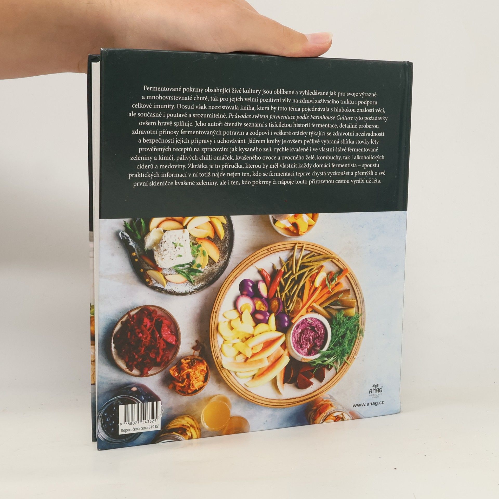 Kathryn Lukas Průvodce světem fermentace podle farmhouse culture : domácí výroba pokrmů a nápojů s živými kulturami včetně 100 receptů od kimči po kombuchu