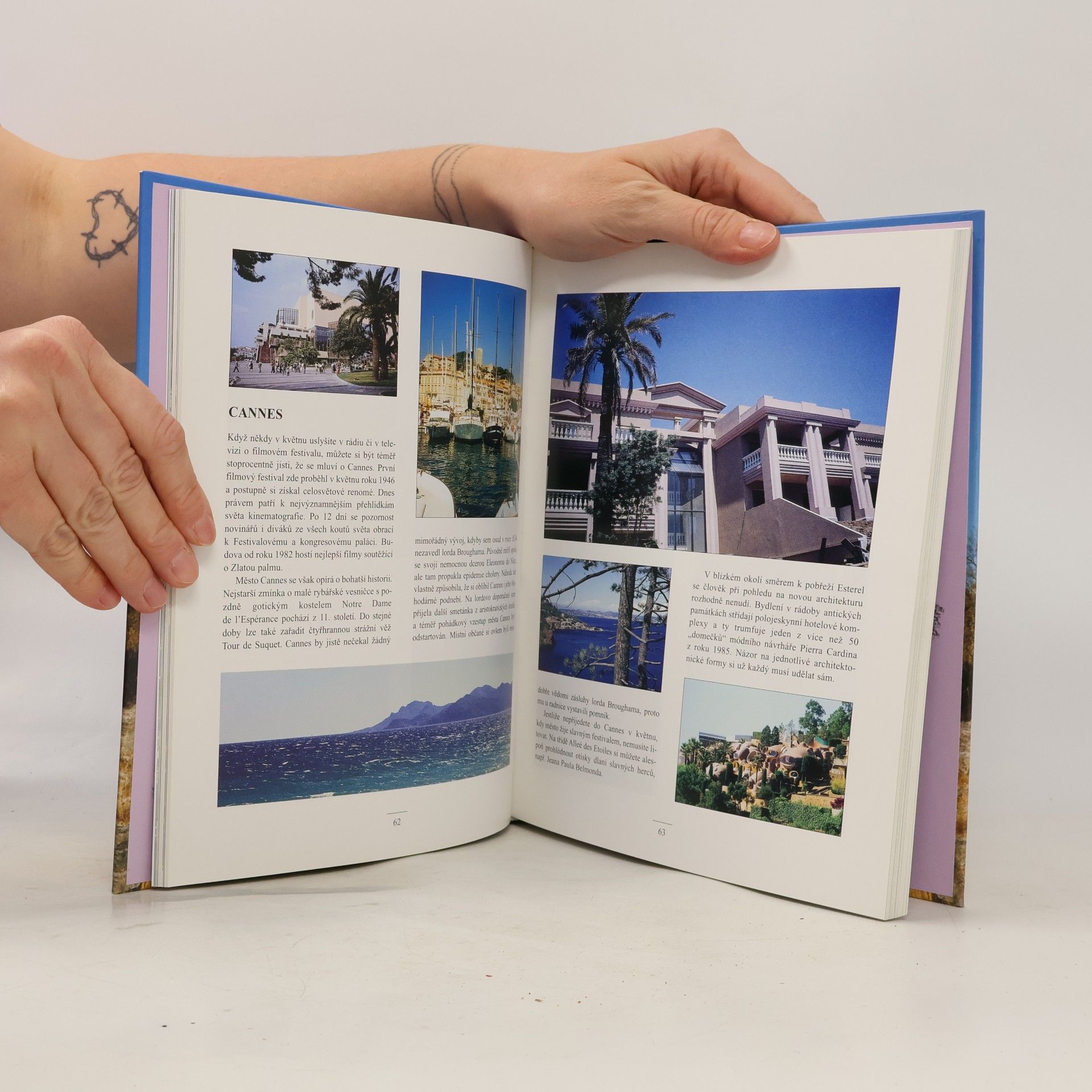 Ivana Buttry Putování Francií. 1. díl. Provence a Středomoří