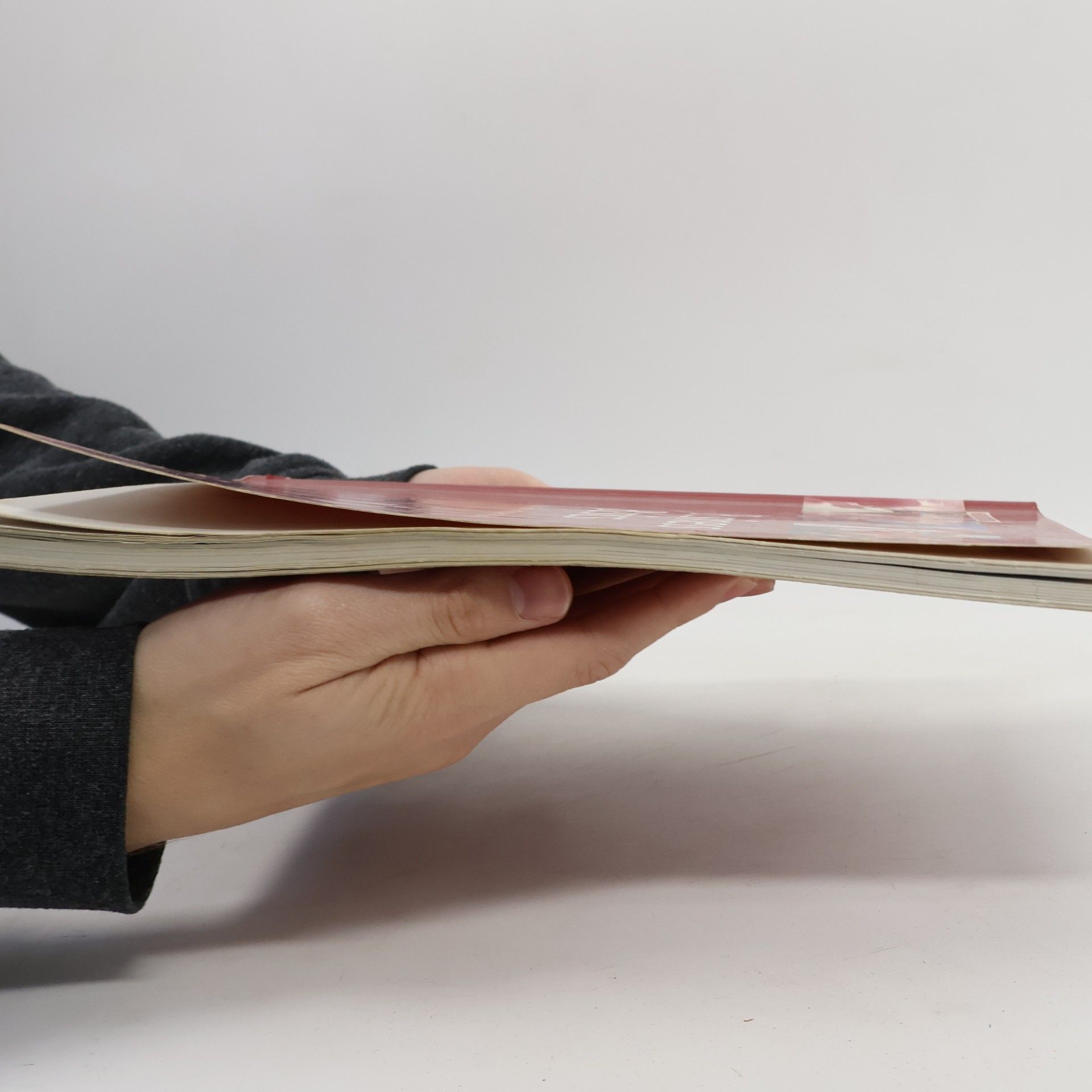 David Grant Business Basics : Student´s Book