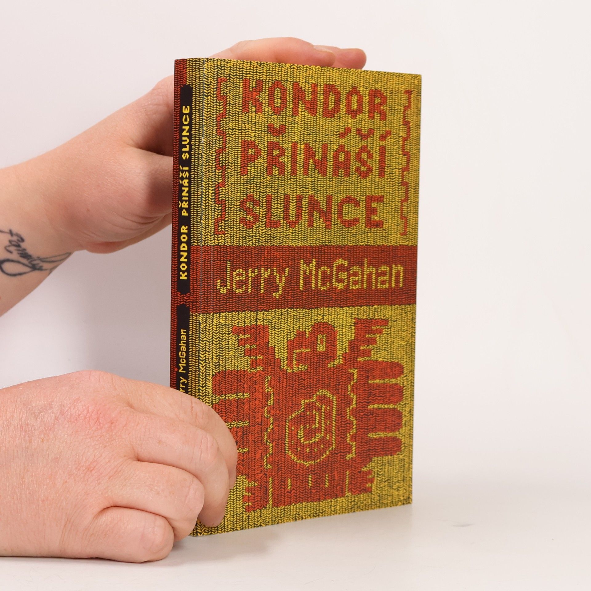 Jerry McGahan Kondor přináší slunce