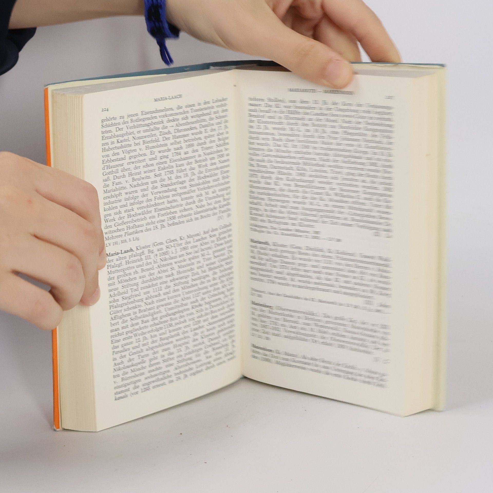 Ludwig Petry Handbuch der historischen Stätten Deutschlands. V. Rheinland-Pfalz und Saarland