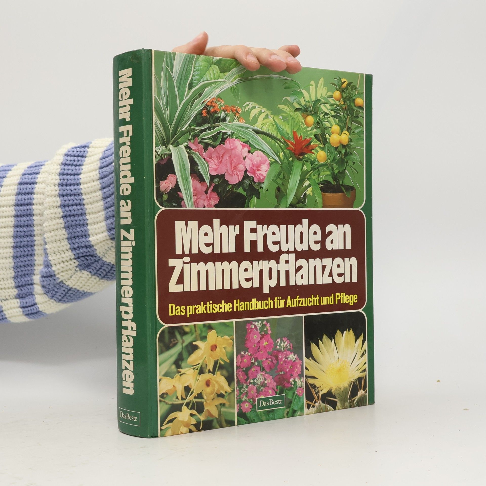 Mehr Freude an Zimmerpflanzen