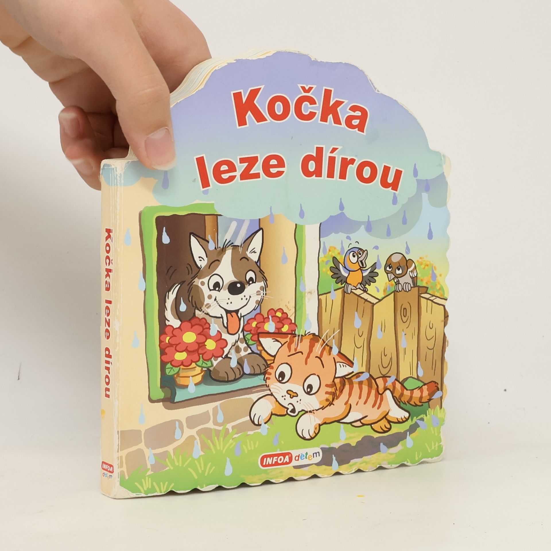 Zdeňka Študlarová Kočka leze dírou