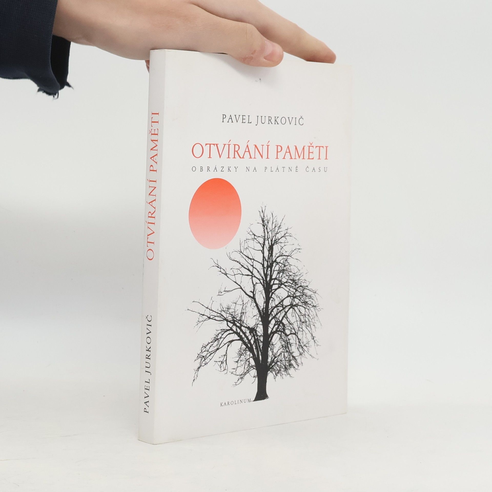 Otvírání paměti: obrázky na plátně času