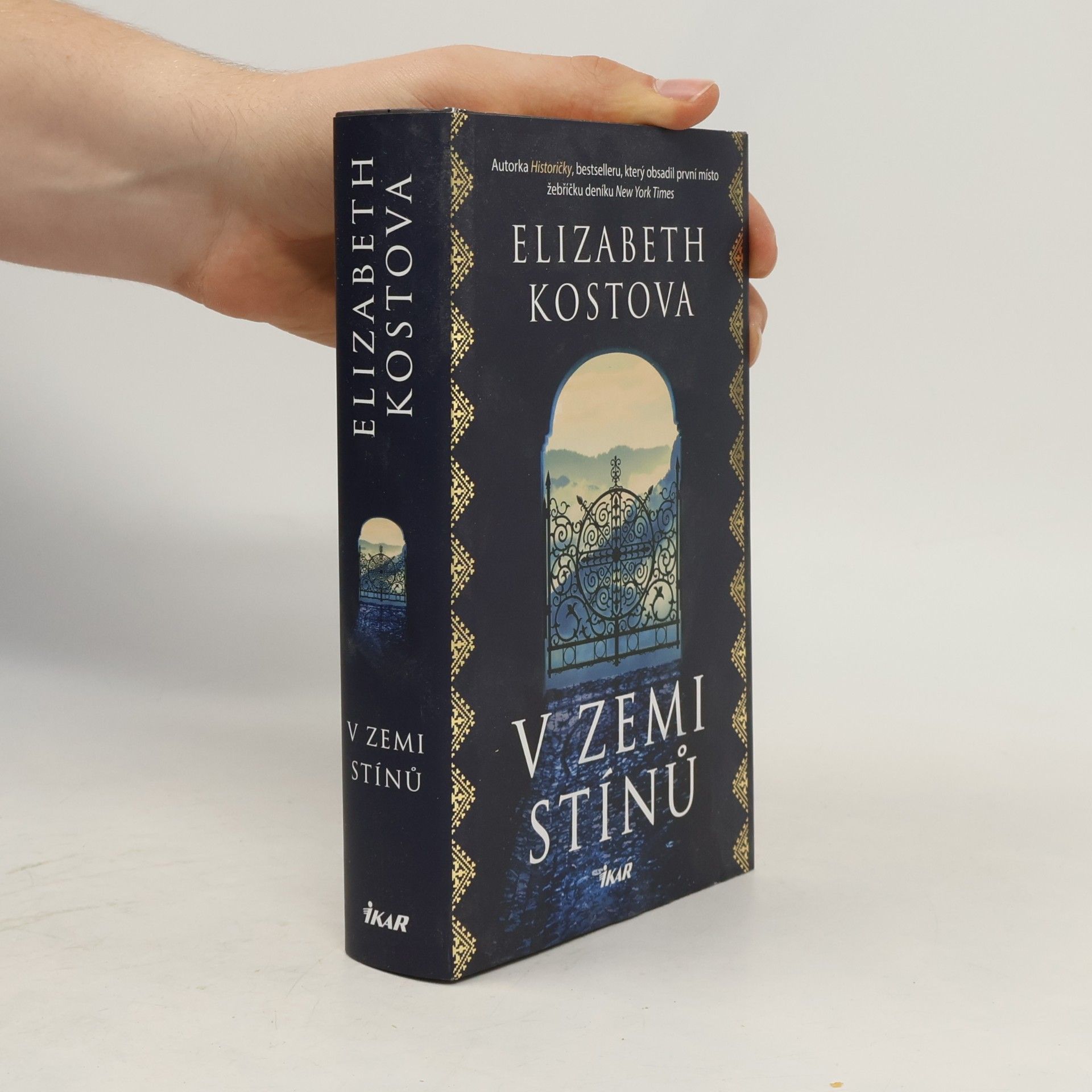 V zemi stínů