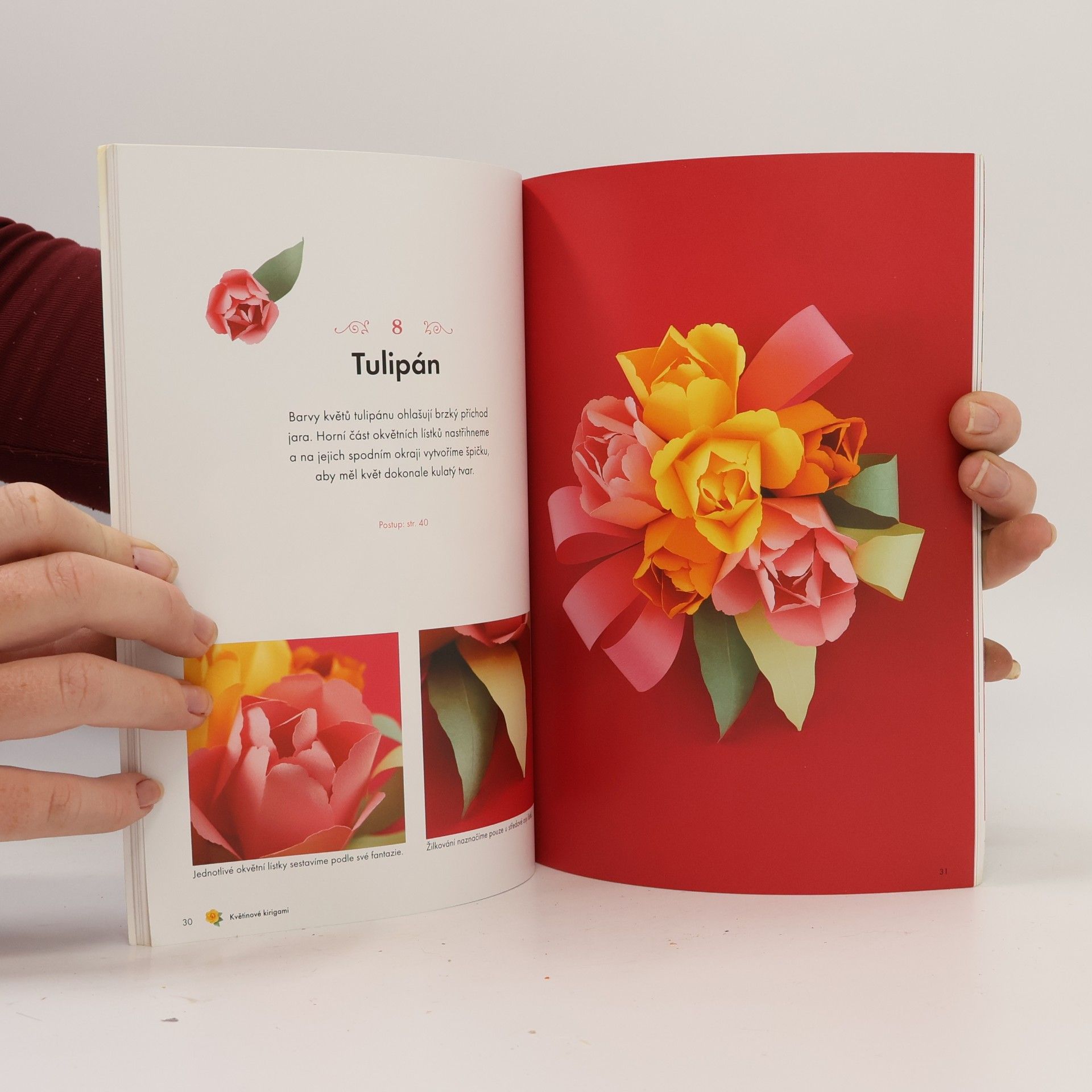 Emiko Yamamoto Květinové kirigami - papírové 3D květy
