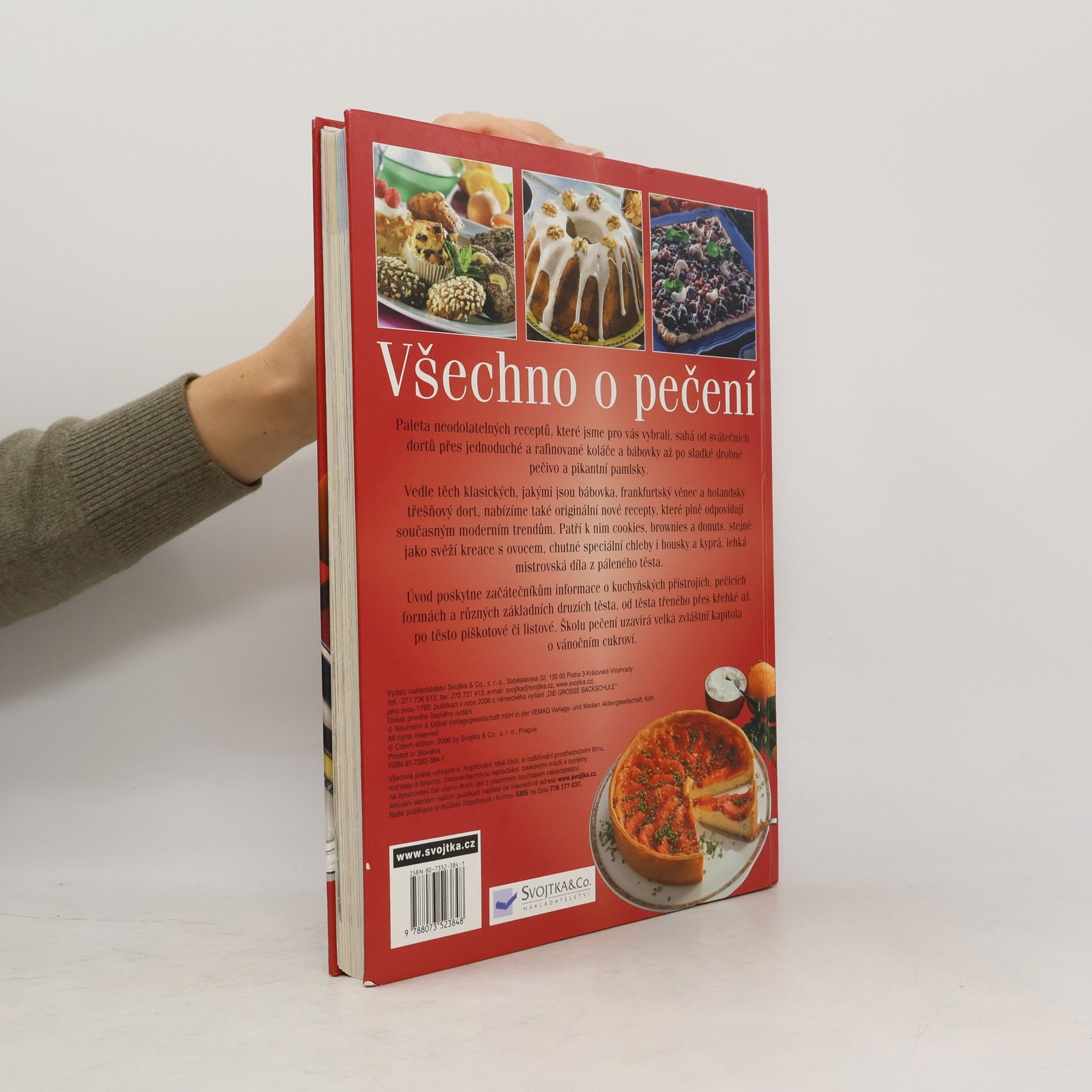 Autorenkollektiv Všechno o pečení