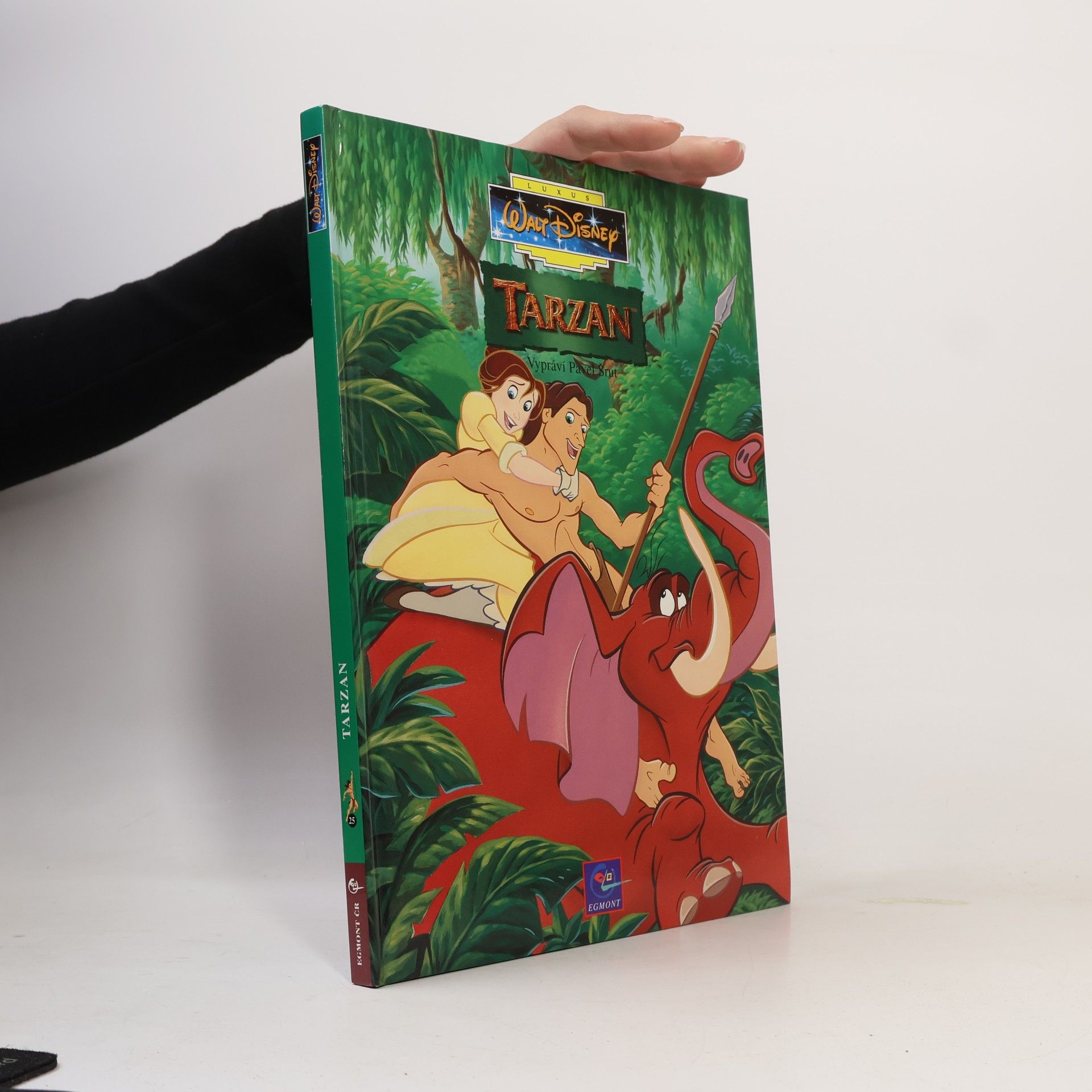 Pavel Šrut Tarzan