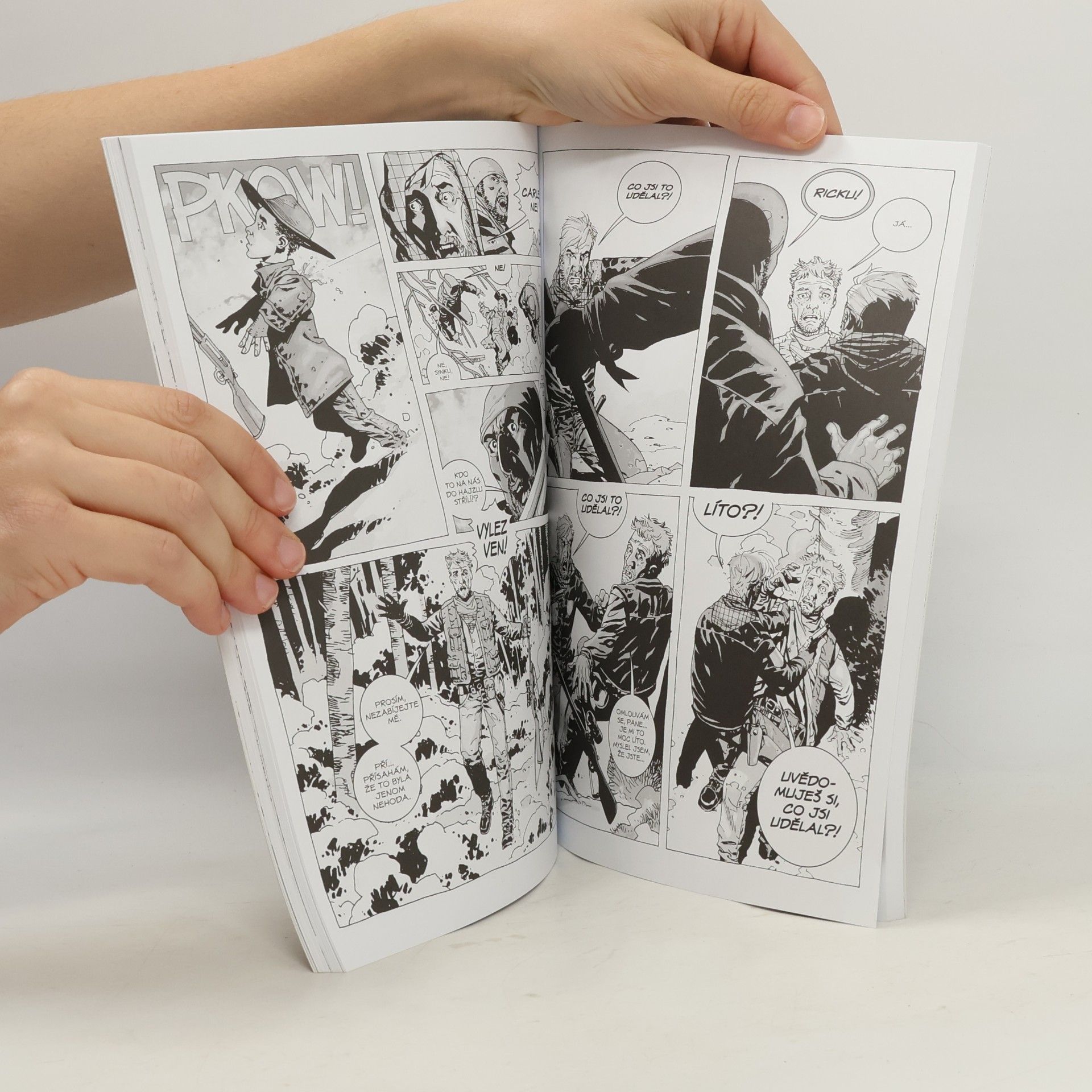 Robert Kirkman Živí mrtví. Díl druhý, Míle a míle