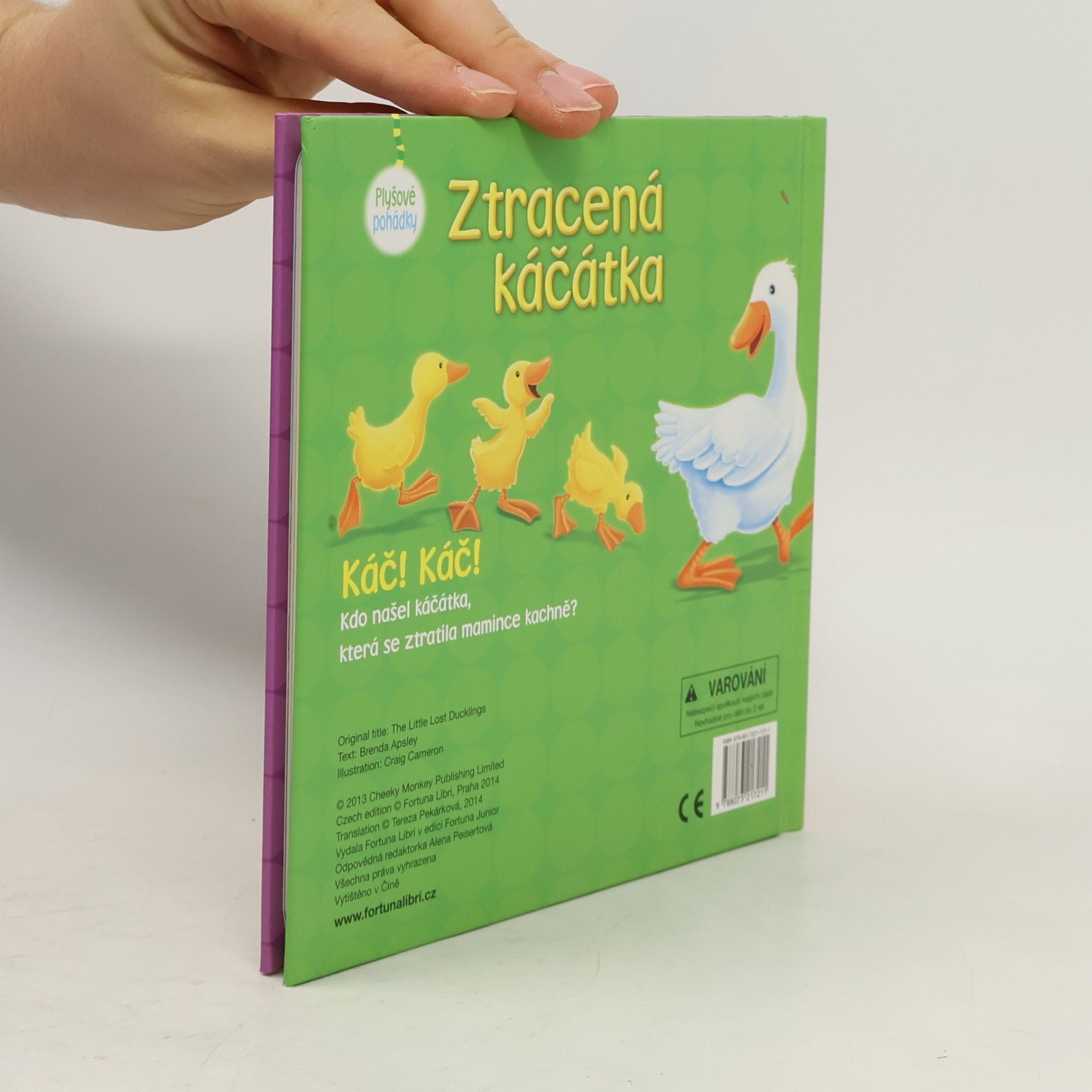 Kolektiv autorů Ztracená káčátka