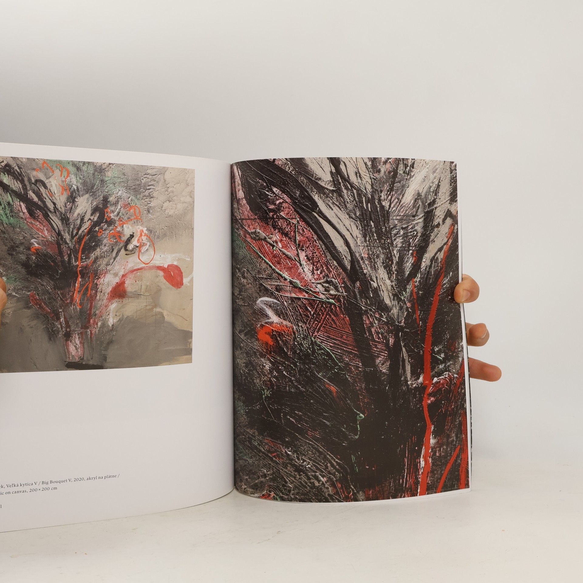 Marek Ormandík Renata & Marek Ormandík: Havrany, busty, kytice/ Ravens, Busts and Flowers