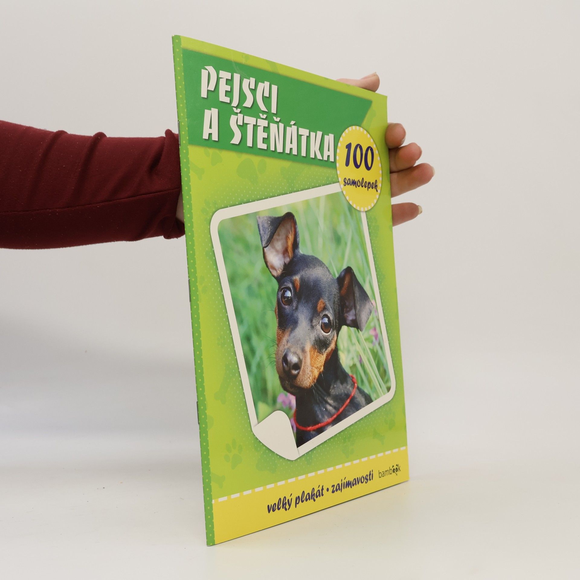 Kolektiv autorů Pejsci a štěňátka