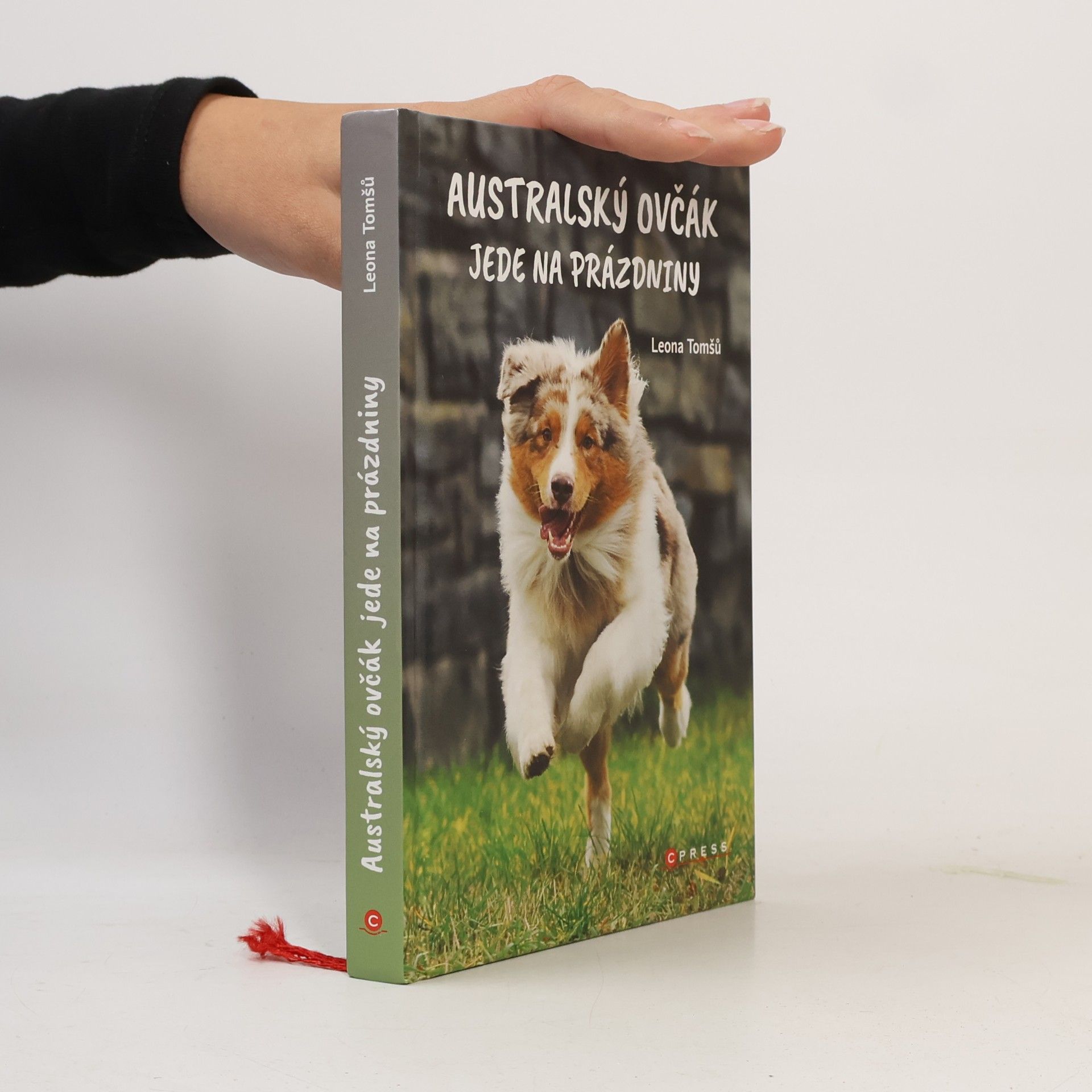 Australský ovčák jede na prázdniny