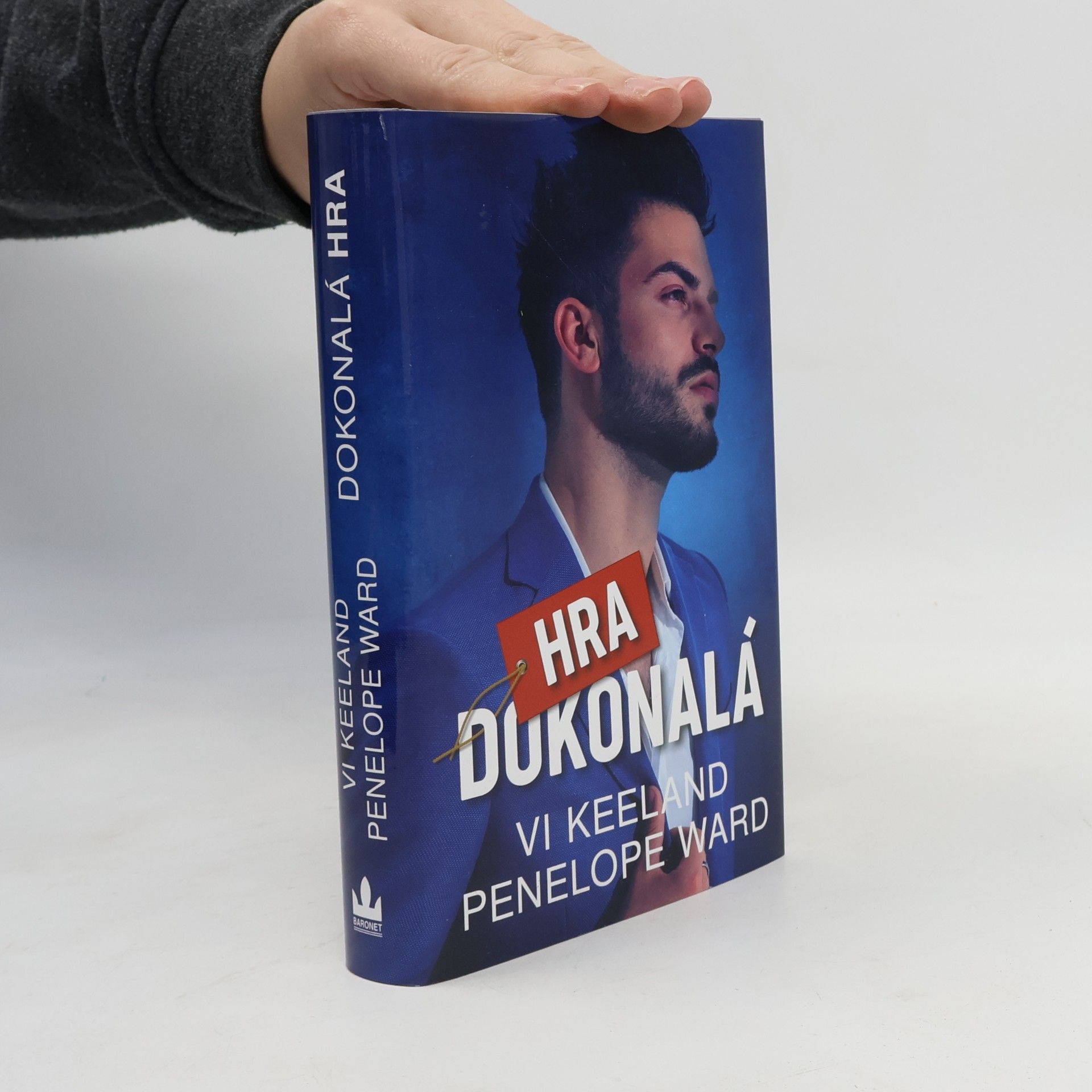 Vi Keeland Dokonalá hra