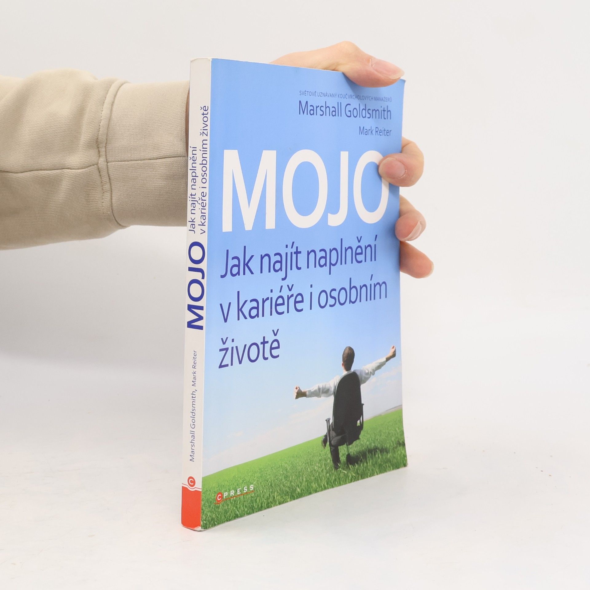 Mojo. Jak najít naplnění v kariéře i osobním životě