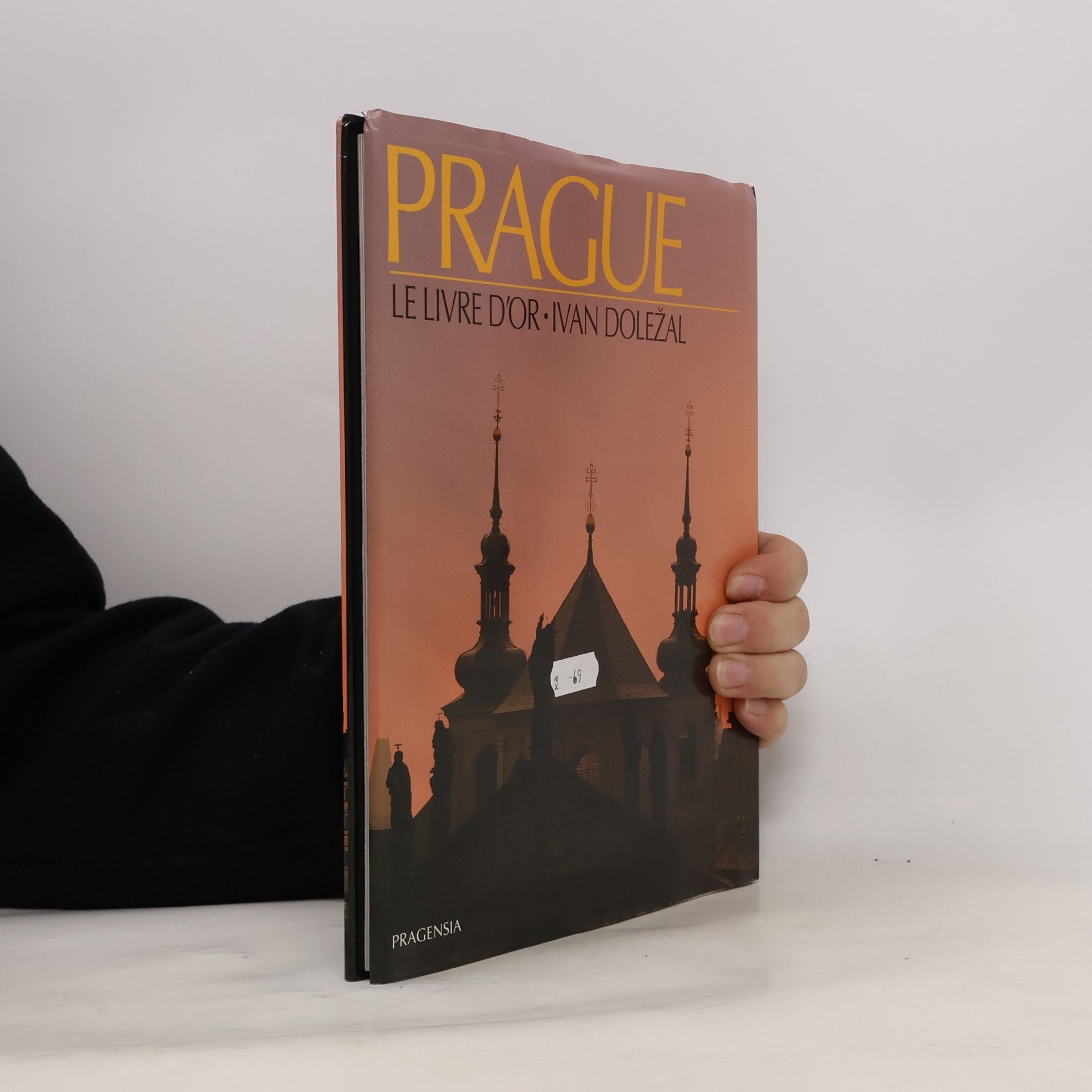 Jiří Doležal Prague: Le Livre D'Or