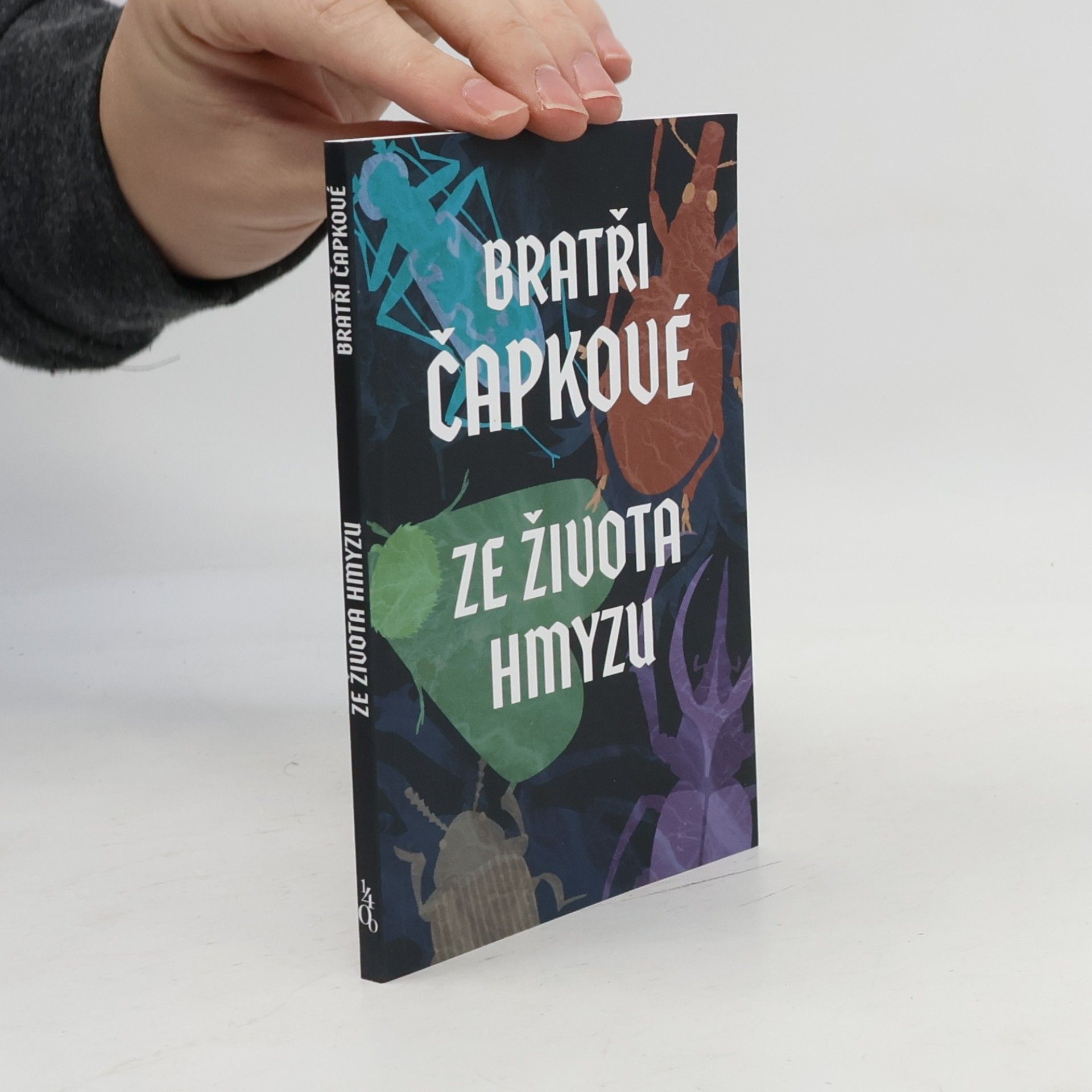 Ze života hmyzu