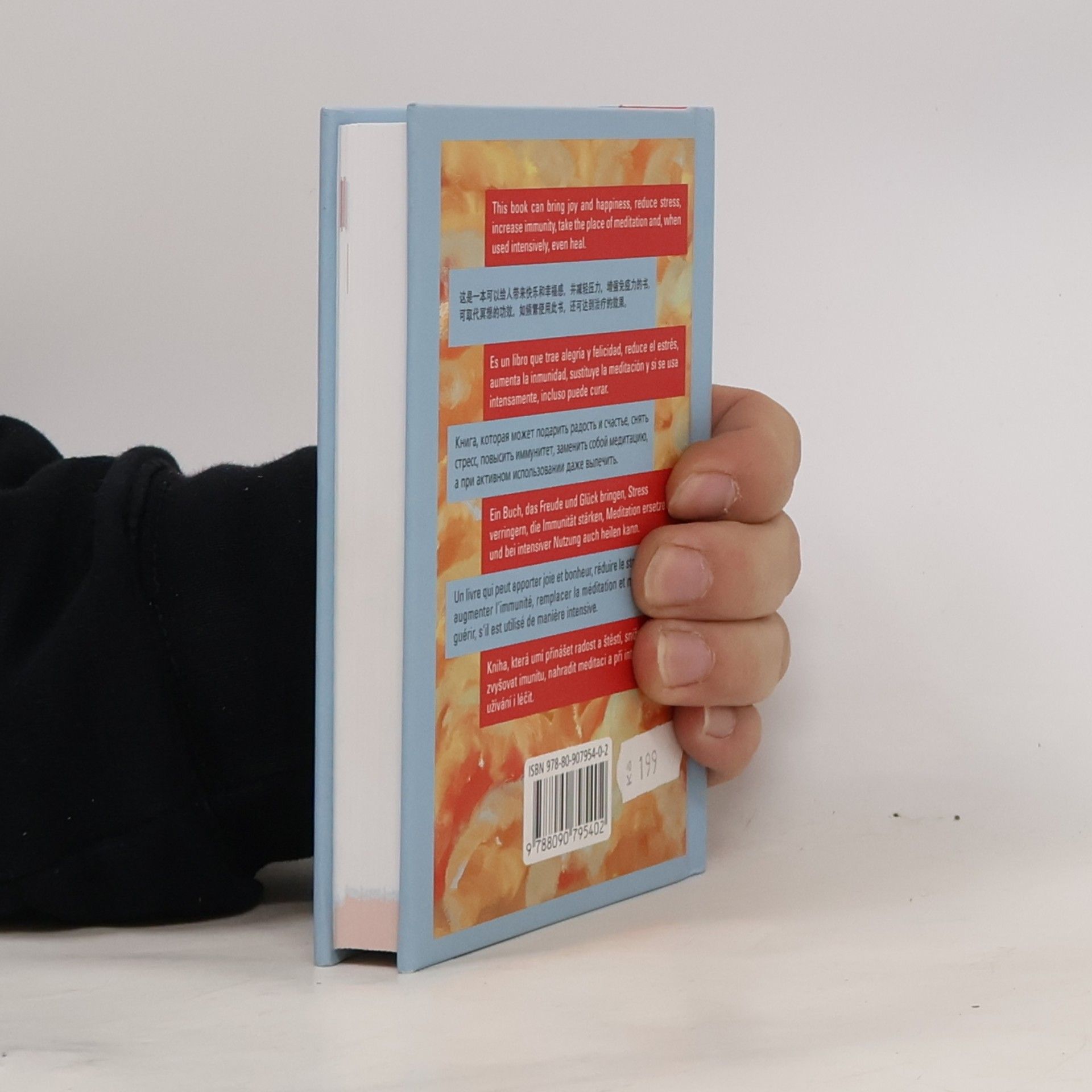 Václav Budinský A Book of Positive Energy