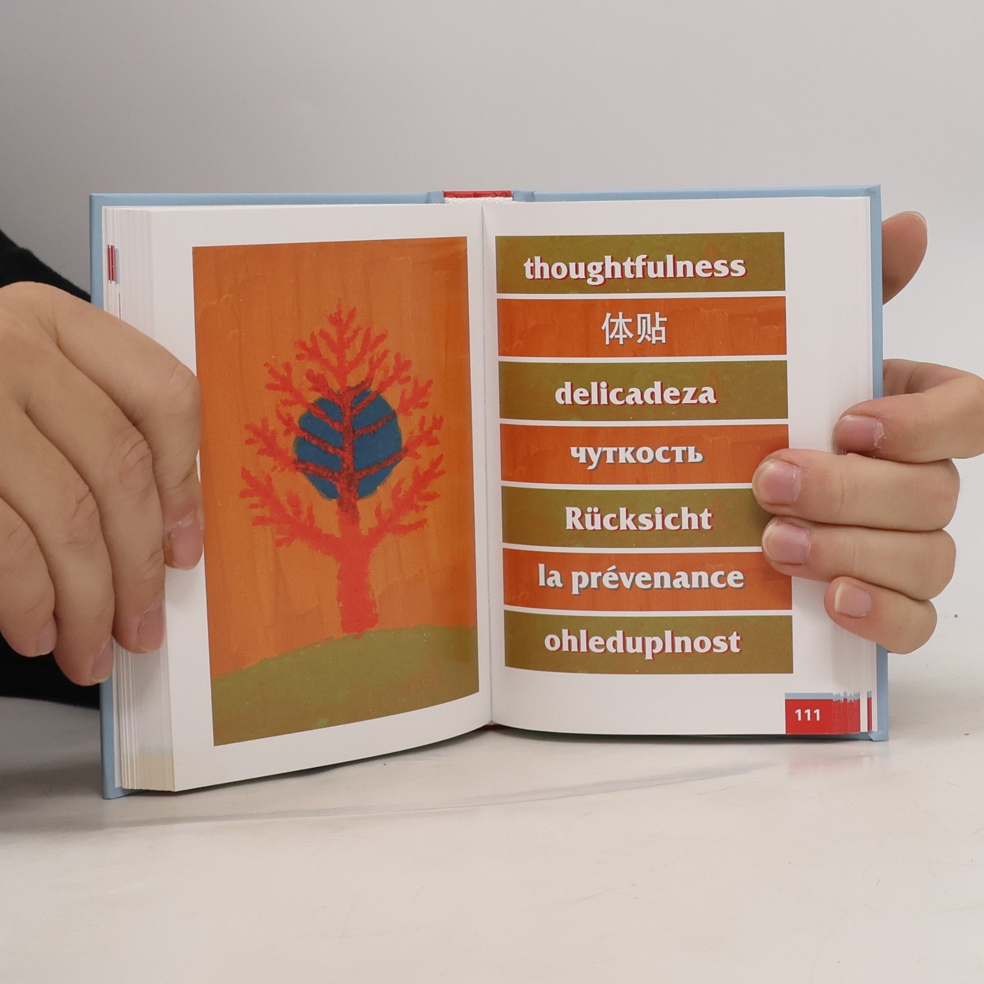 Václav Budinský A Book of Positive Energy