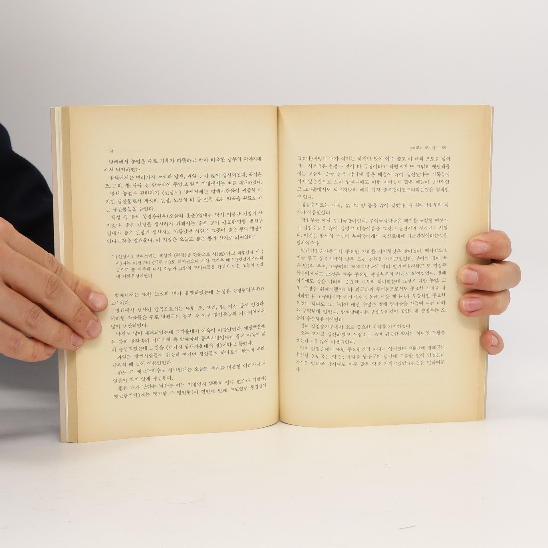 Autorenkollektiv 발해사 10