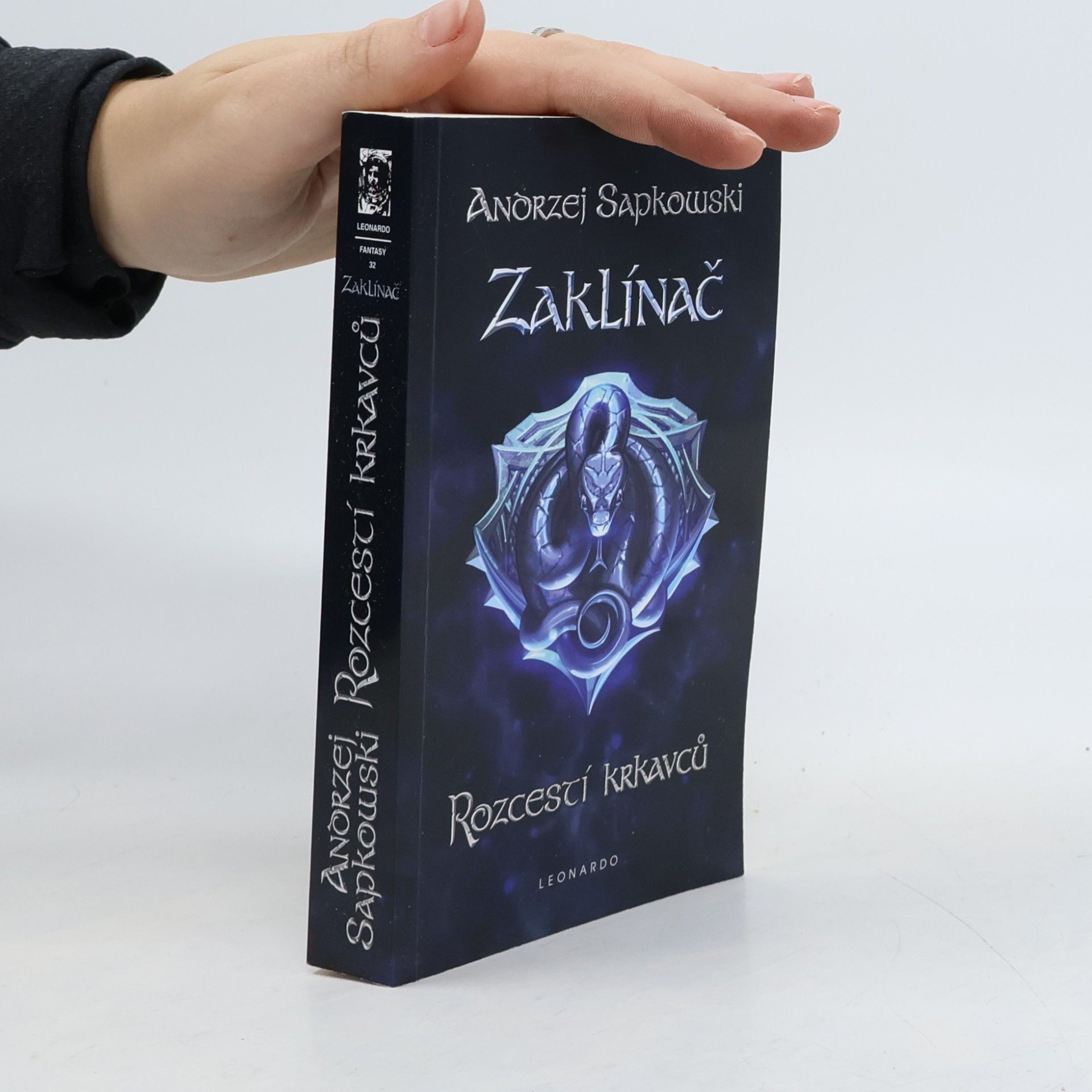 Zaklínač IX. Rozcestí krkavců