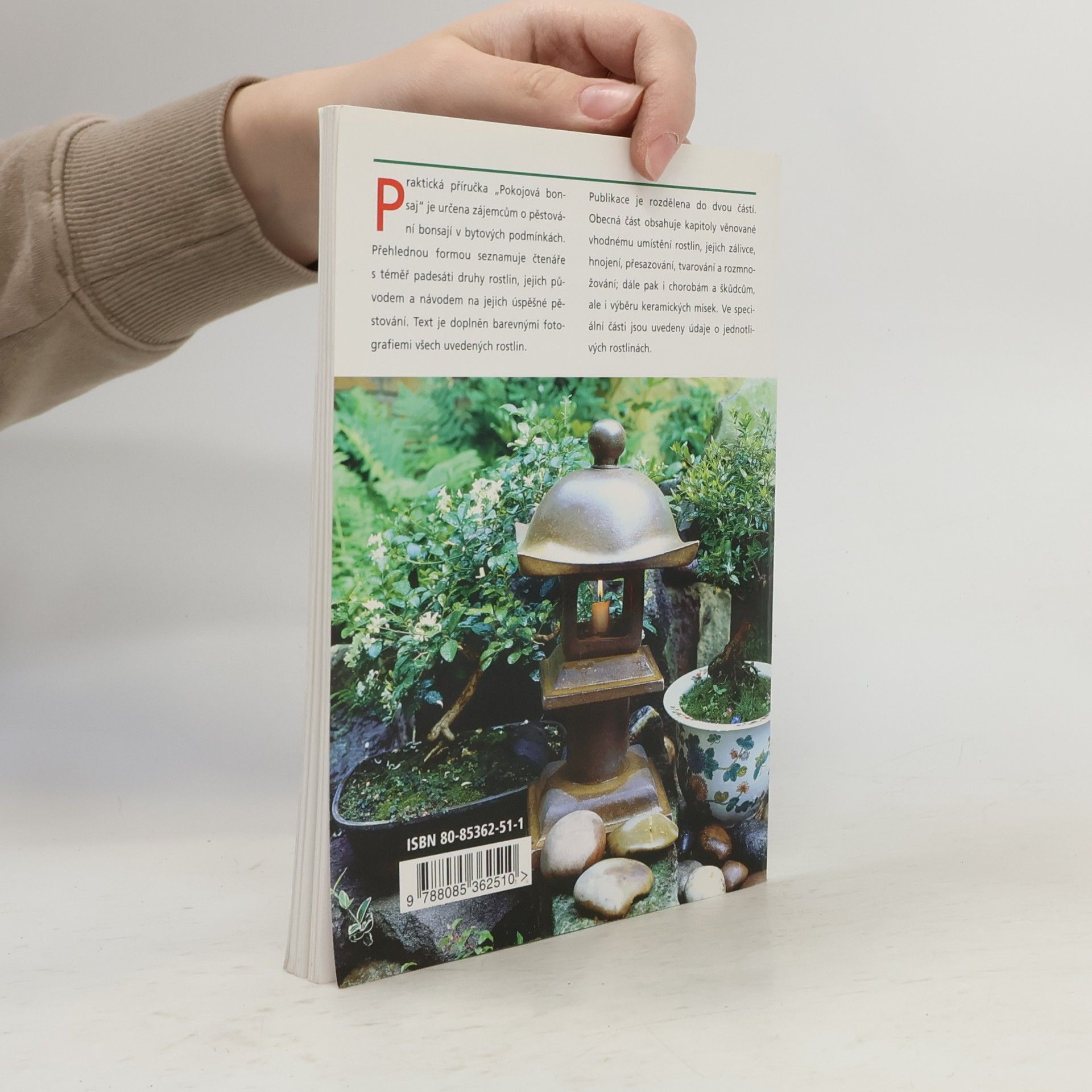 Jindřich Votýpka Pokojová bonsai