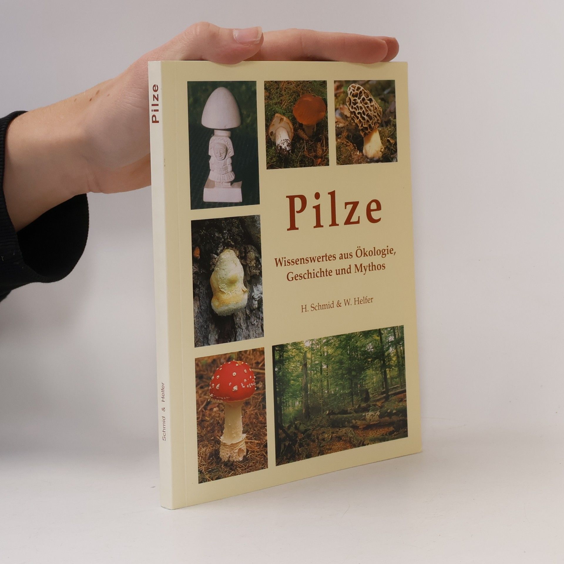 Pilze