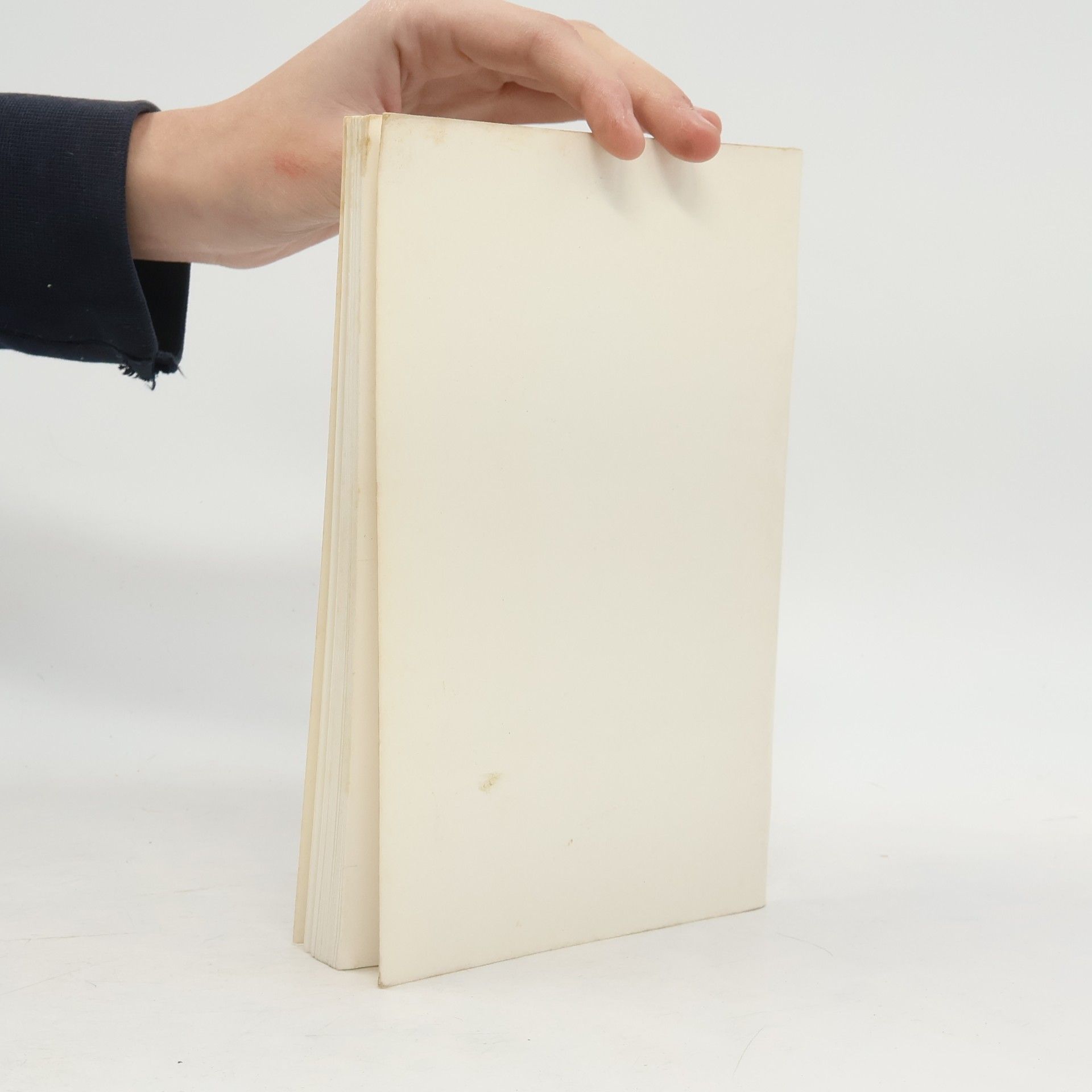 Autorenkollektiv Co v učebnicích chybělo : o německy psané literatuře v českých zemích