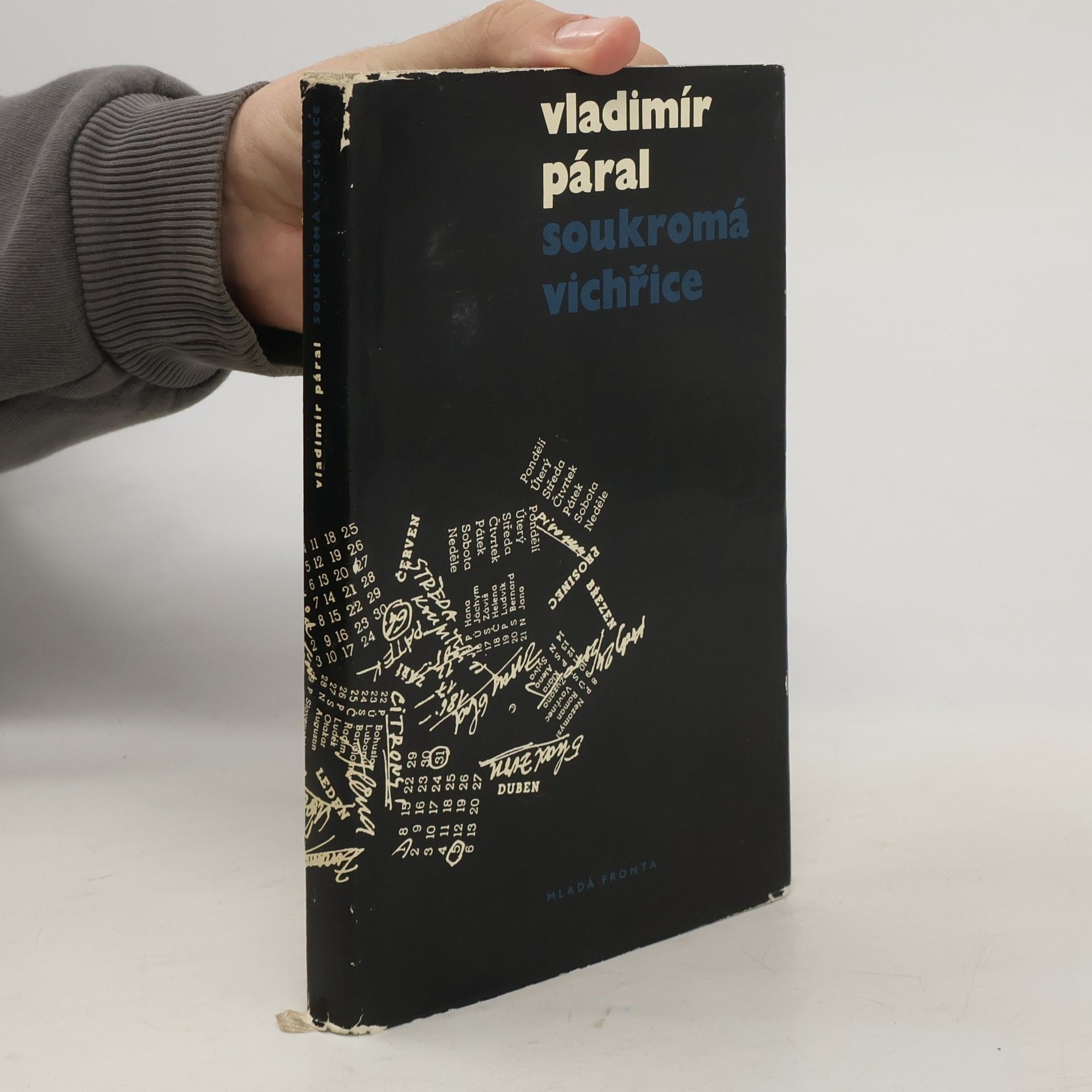 Vladimír Páral Soukromá vichřice