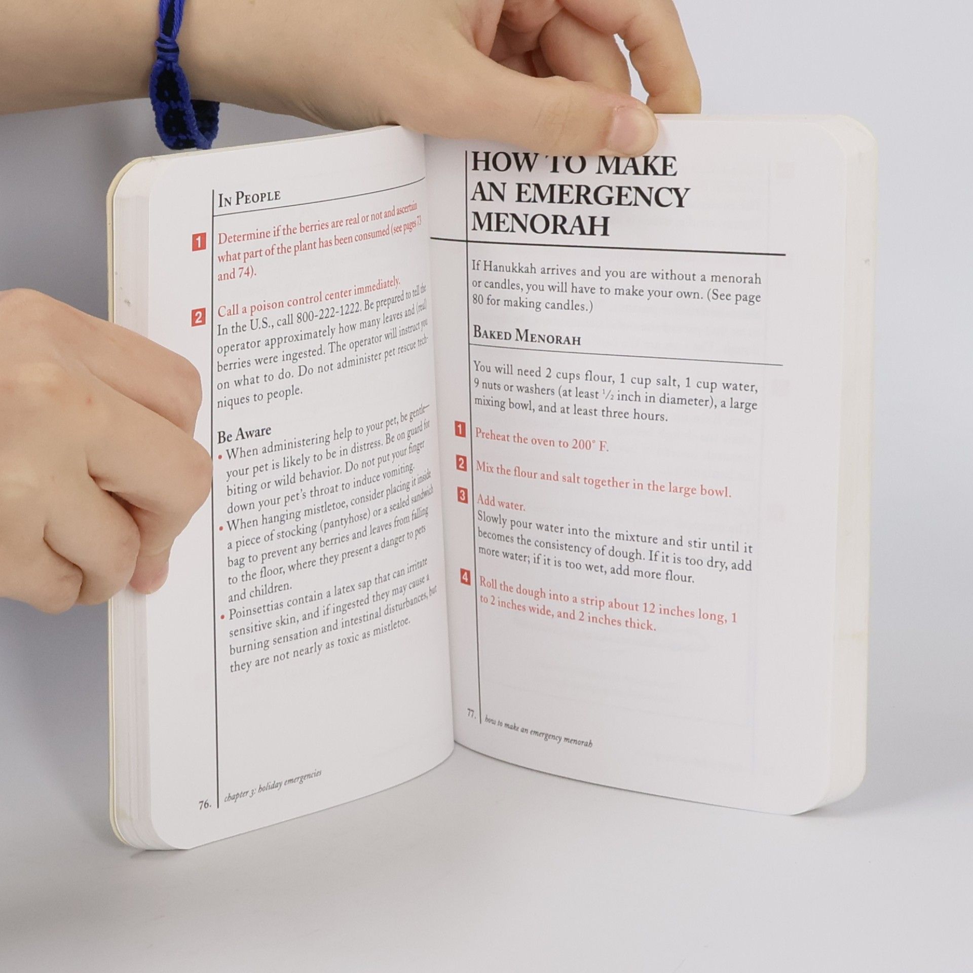 David Borgenicht The Worst-Case Scenario Survival Handbook