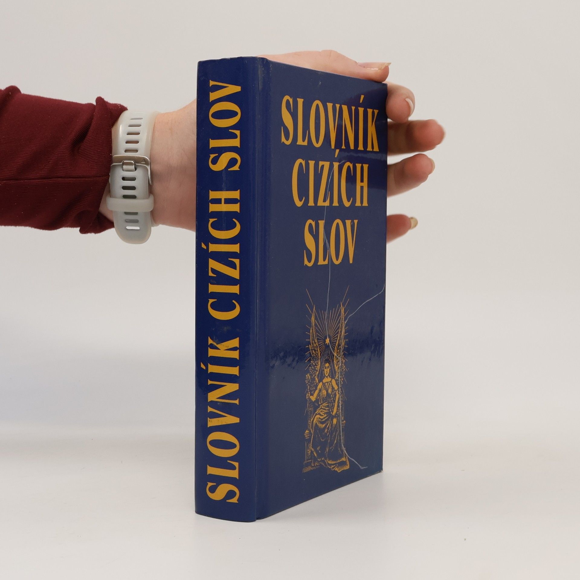 Kolektiv autorů Slovník cizích slov