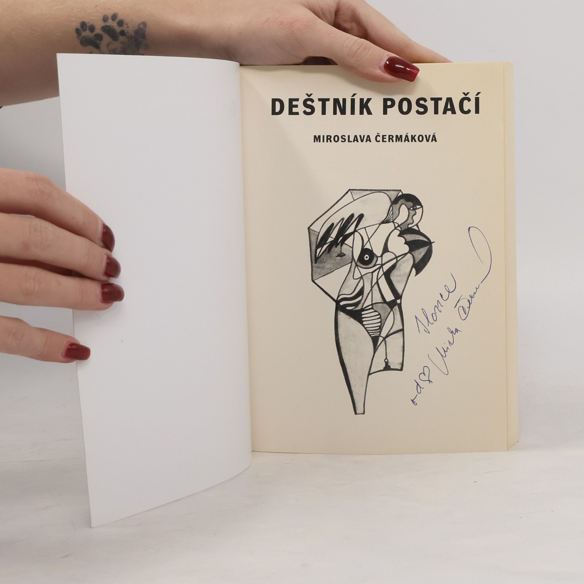 Miroslava Čermáková Deštník postačí