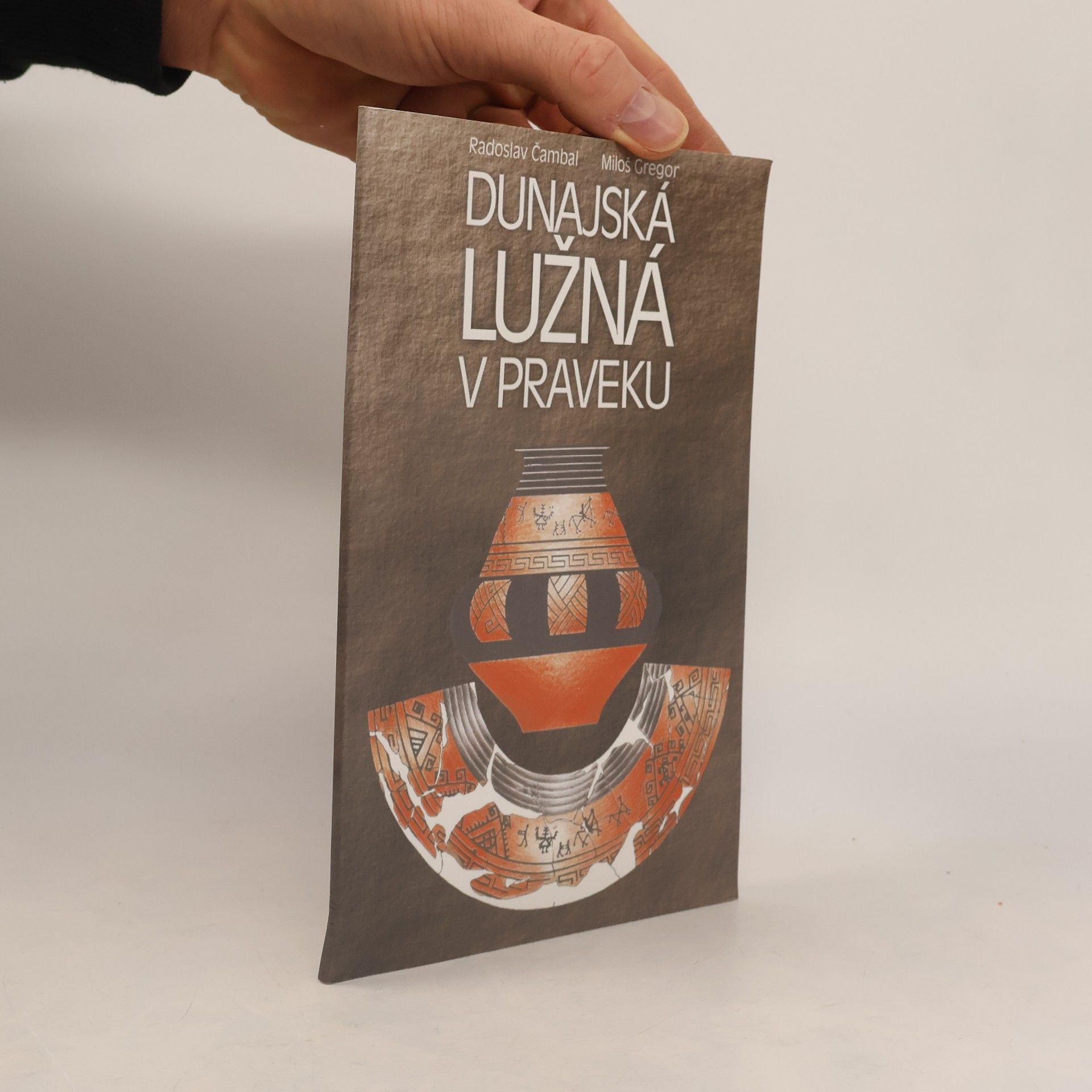 Dunajská Lužna v praveku