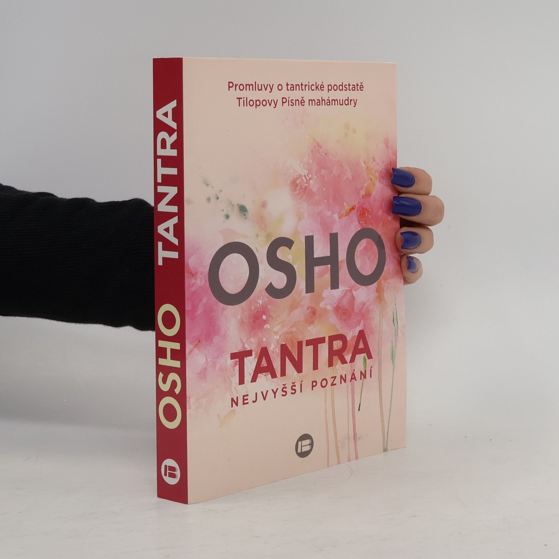 Tantra. Nejvyšší poznání. Promluvy o tantrické podstatě Tilopovy Písně mahámudry