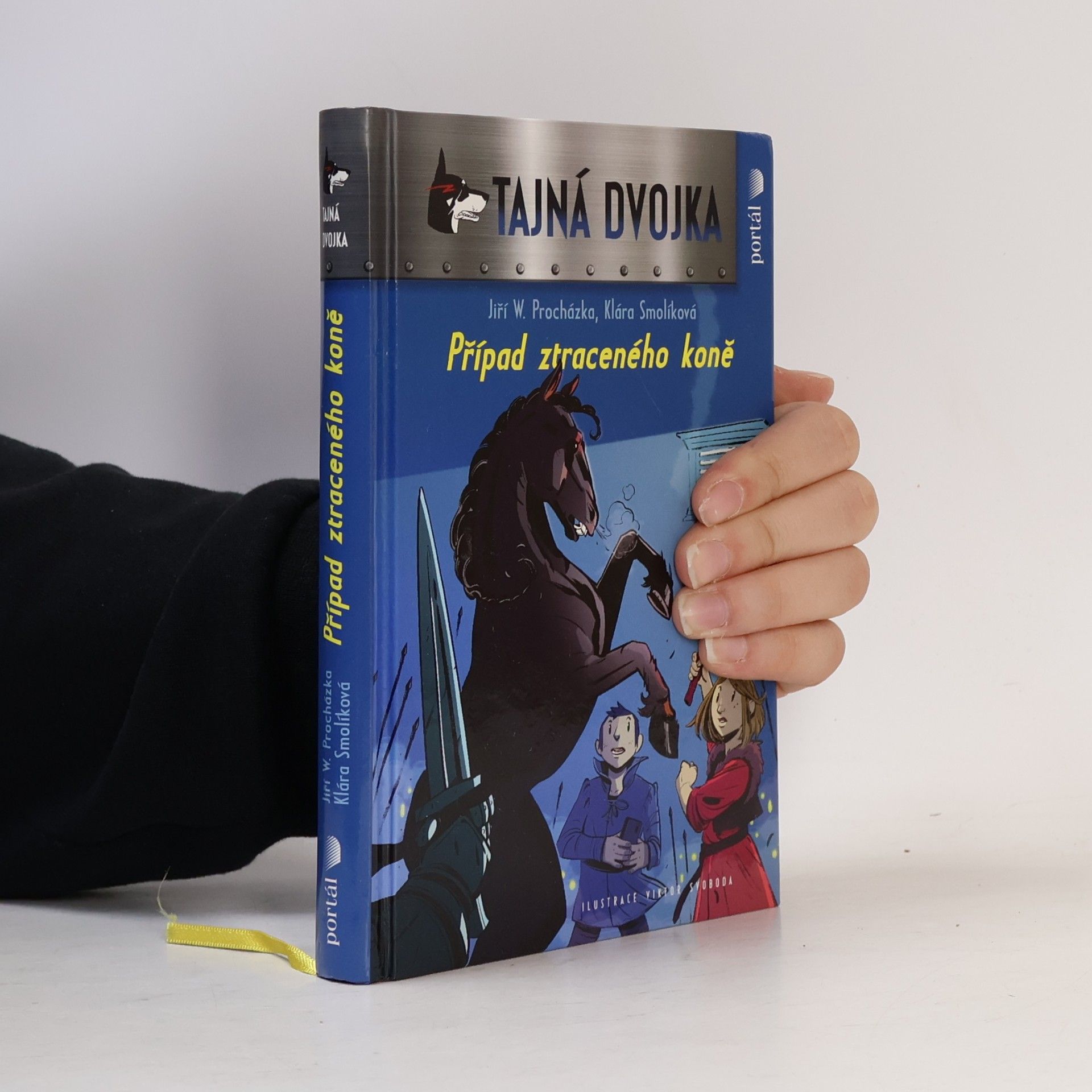 Případ ztraceného koně