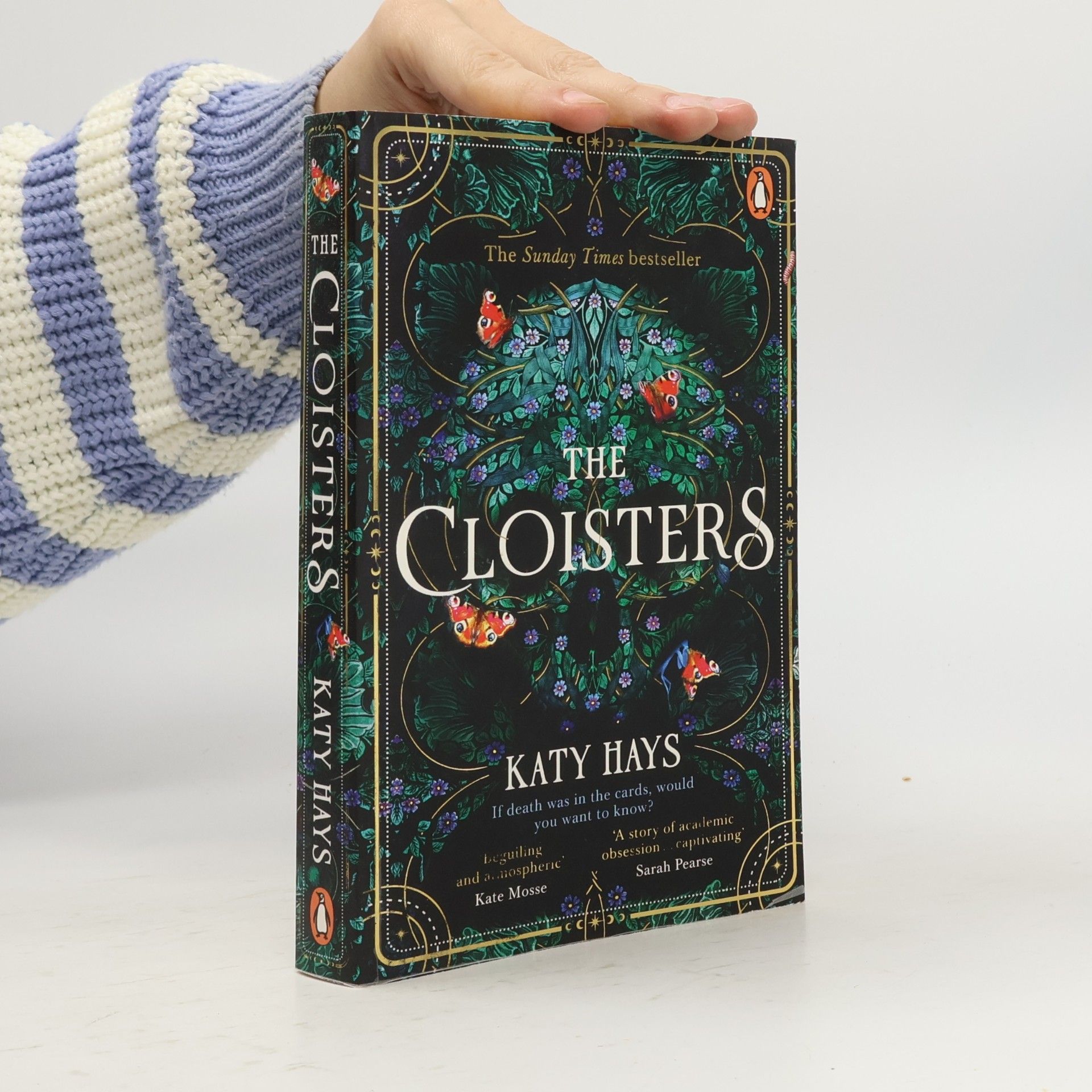 Katy Hays The Cloisters