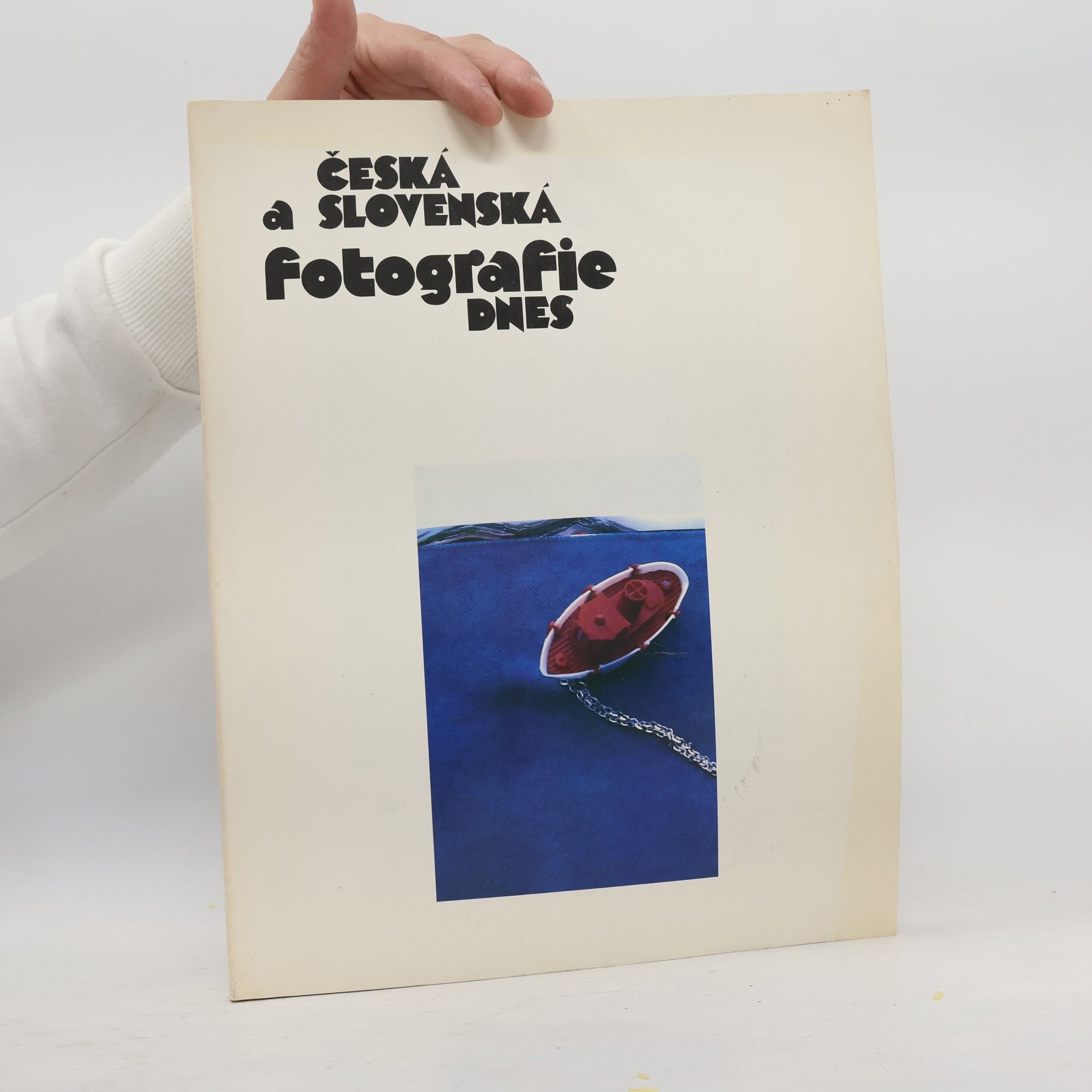 Collectif d'auteurs Česká a slovenská fotografie dnes