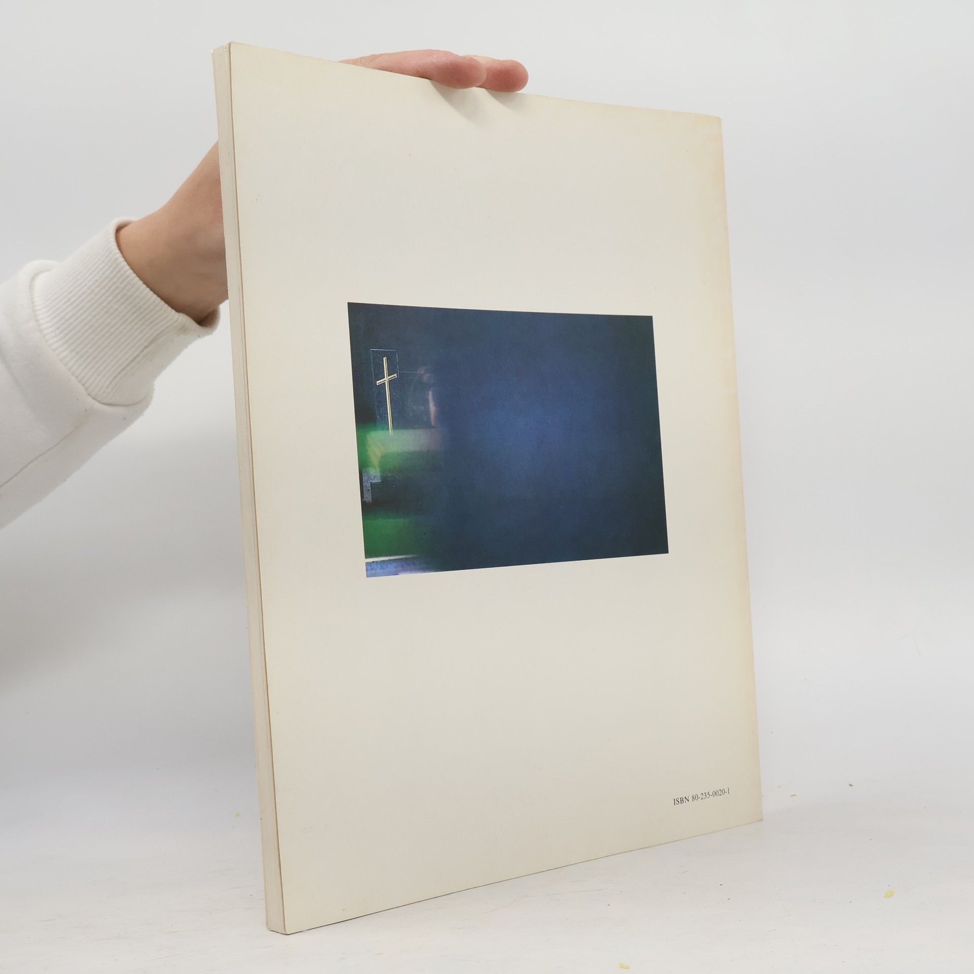 Collectif d'auteurs Česká a slovenská fotografie dnes