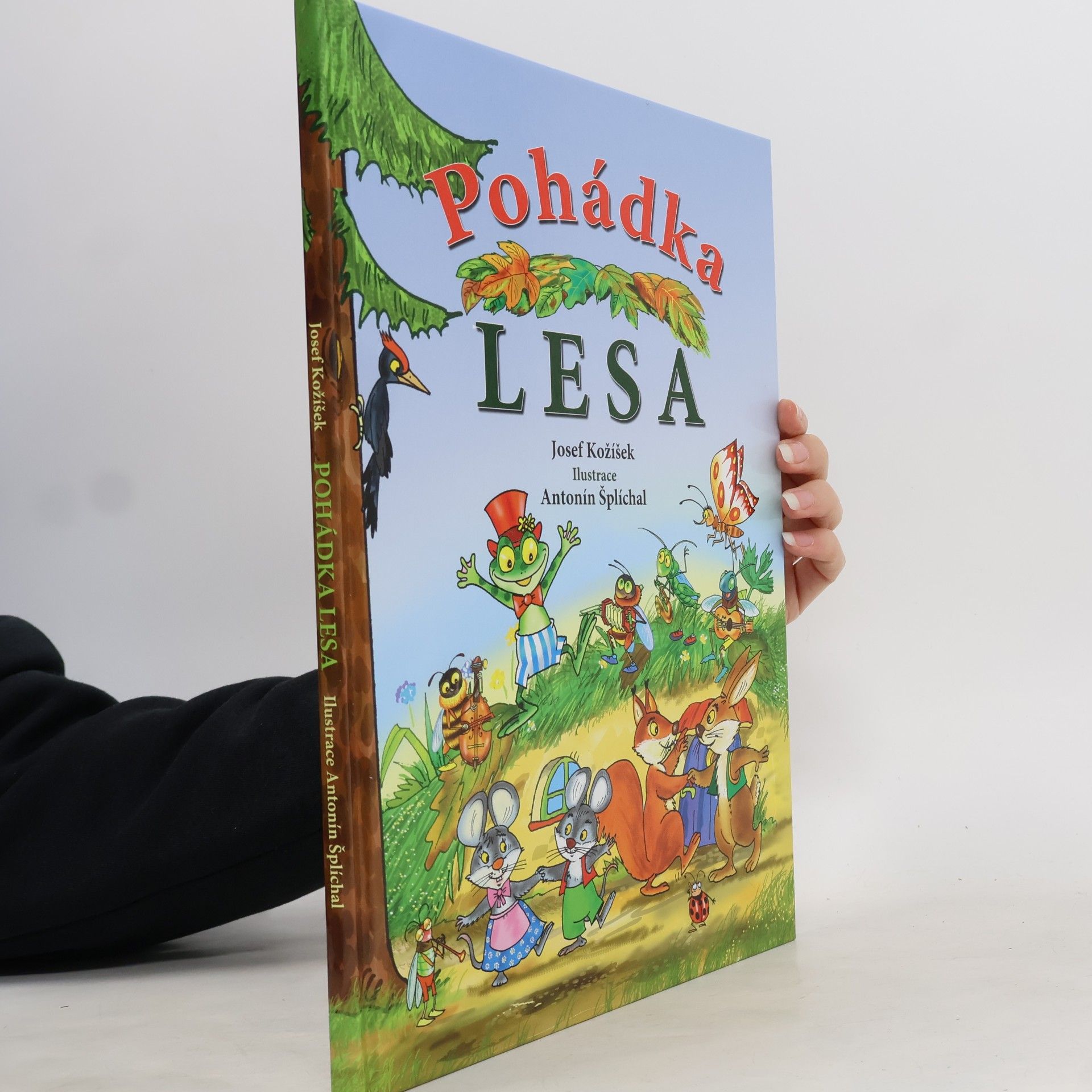 Pohádka lesa