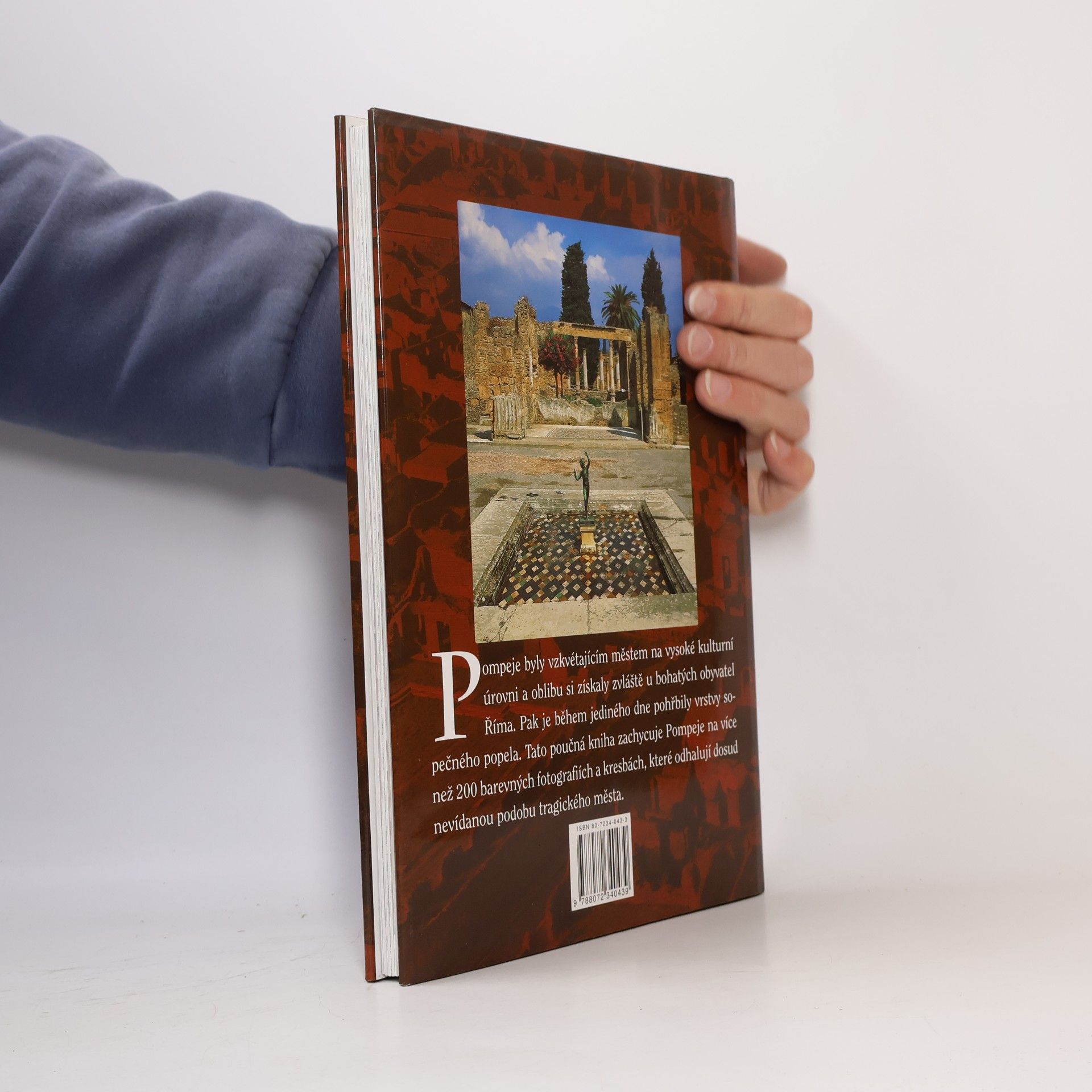 Kolektiv autorů Pompeje: Průvodce starověkým městem