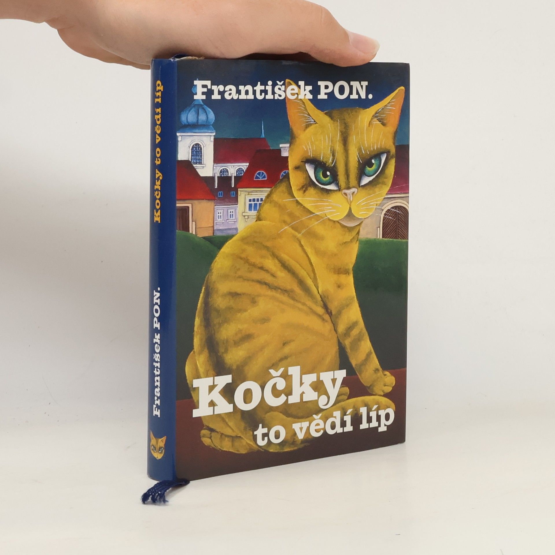 Kočky to vědí líp
