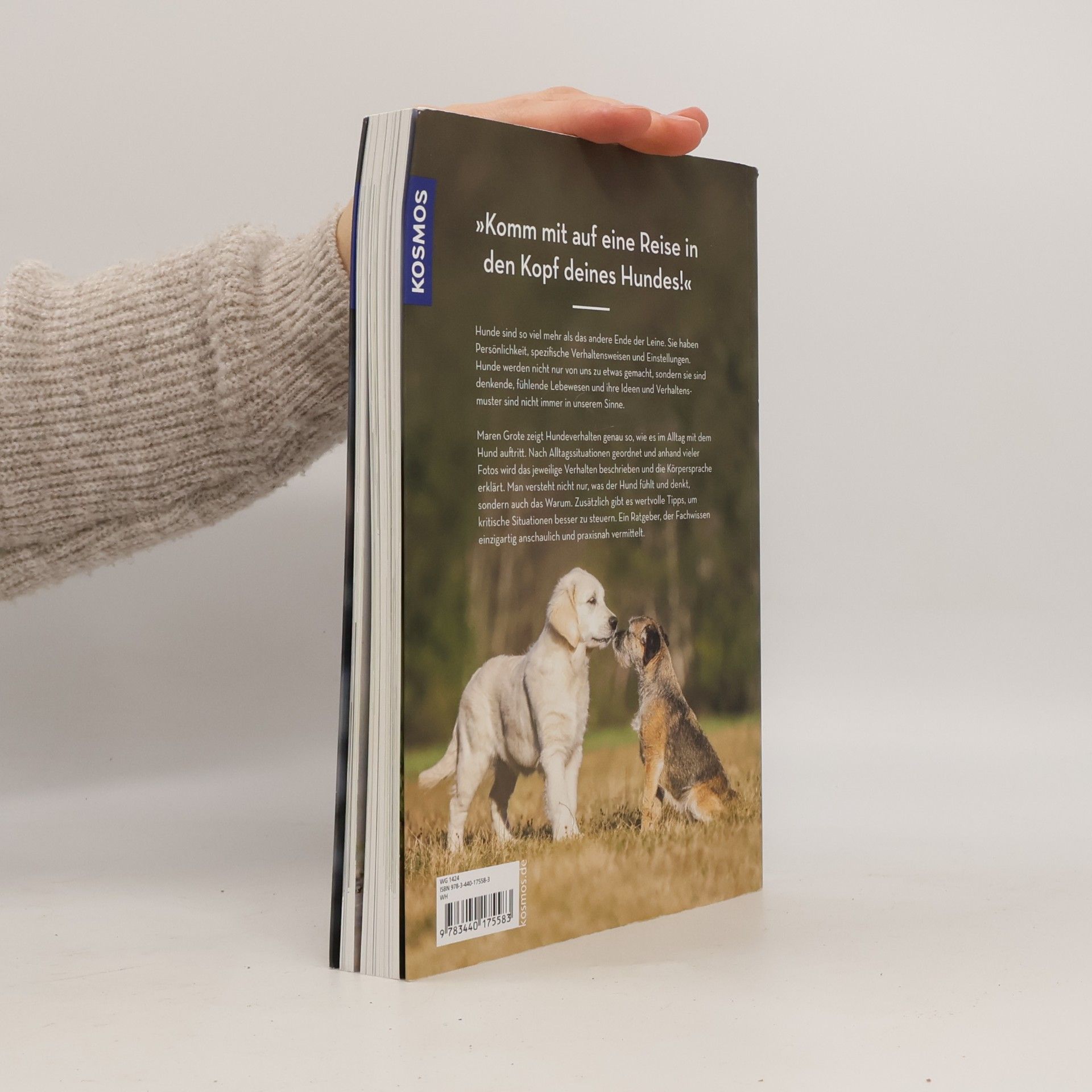 Maren Grote Hunde lesen lernen