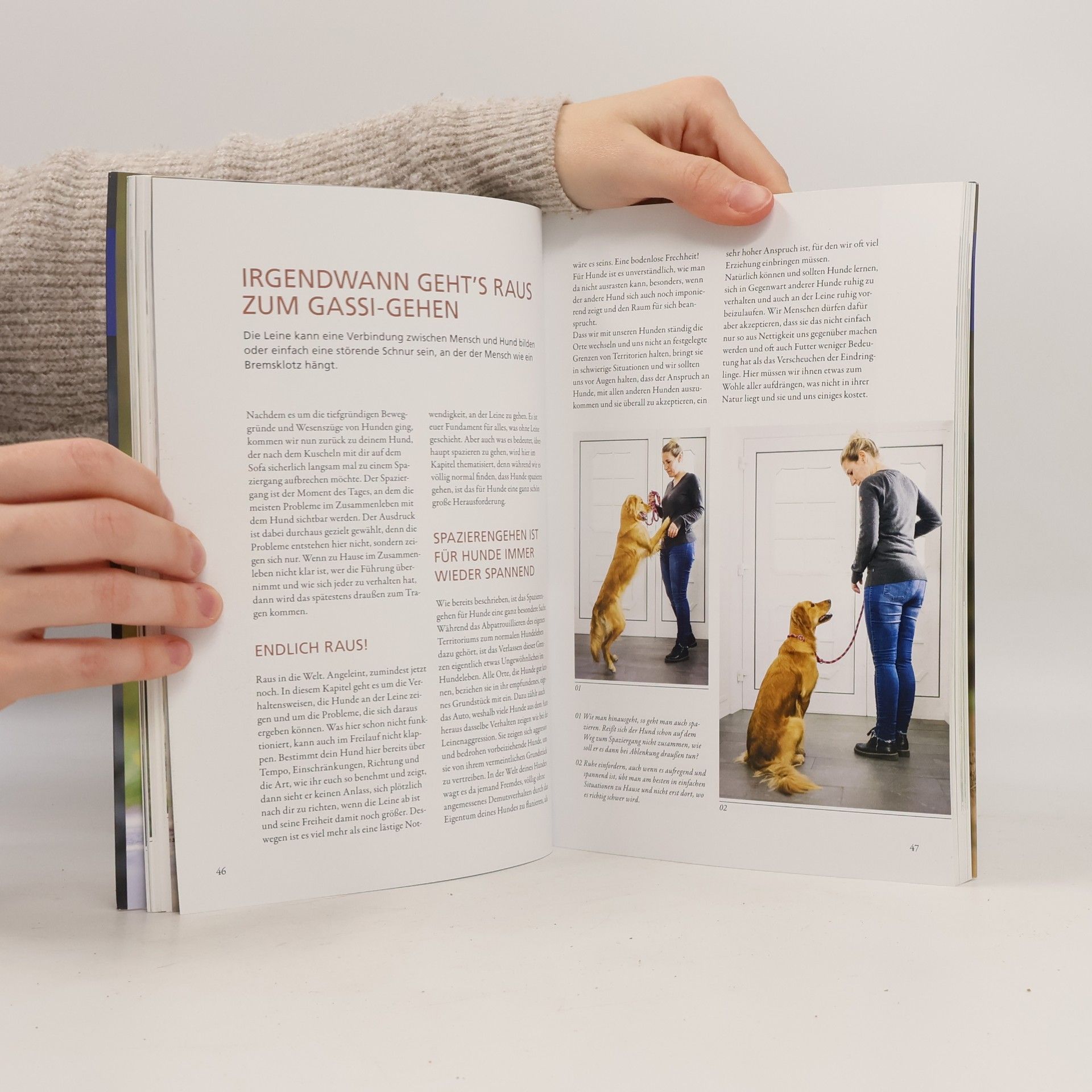 Maren Grote Hunde lesen lernen