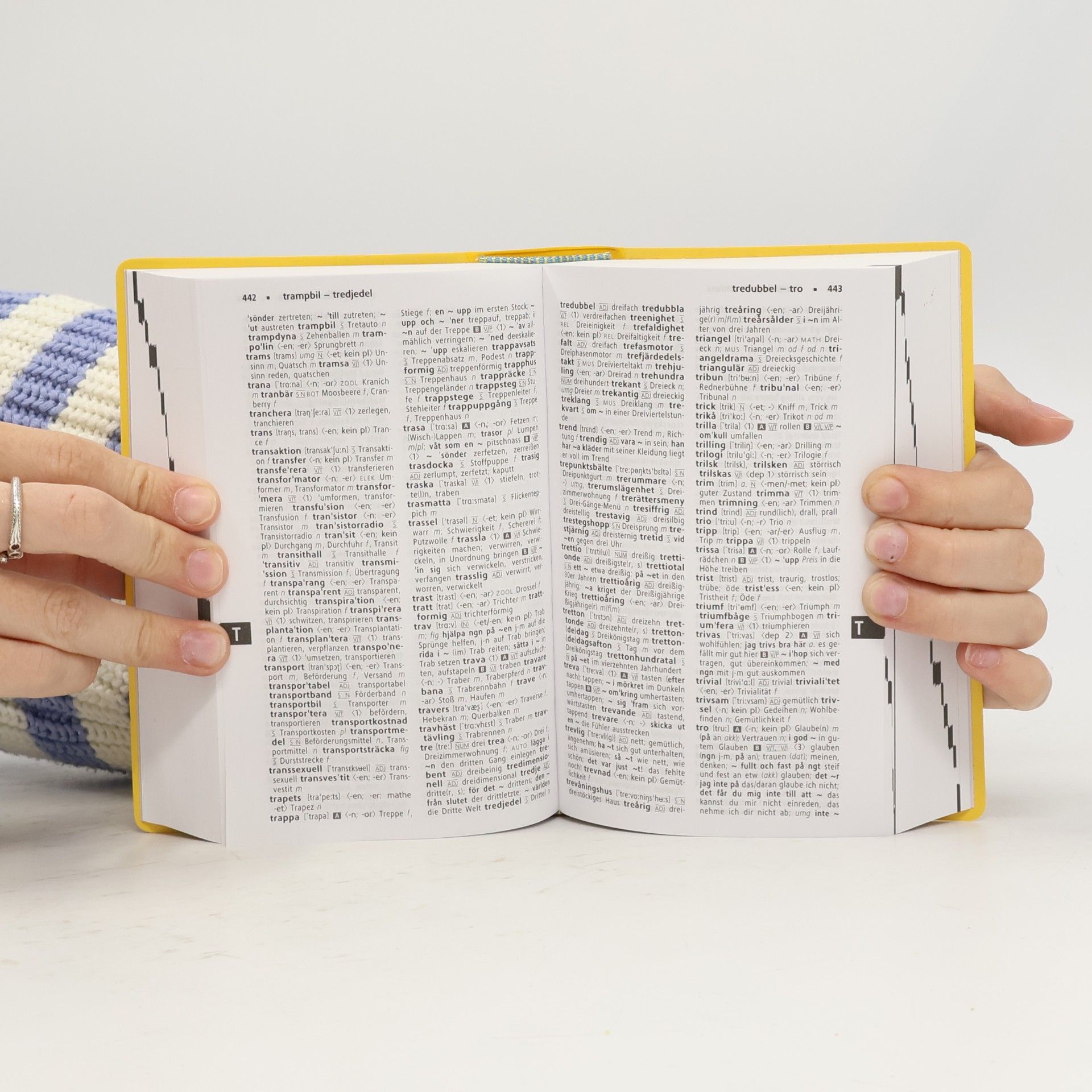 Ann Bergstrand Langenscheidt Taschenwörterbuch Schwedisch