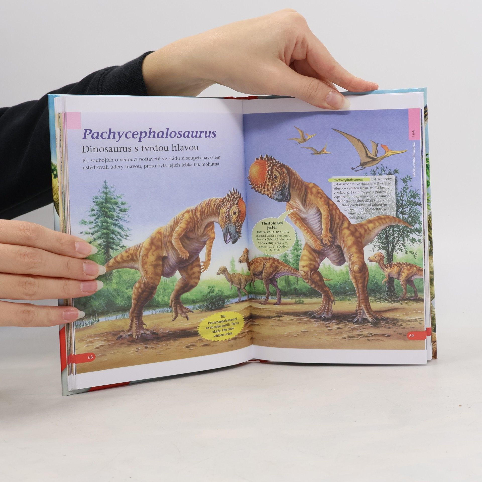 Autorenkollektiv Svět dinosaurů