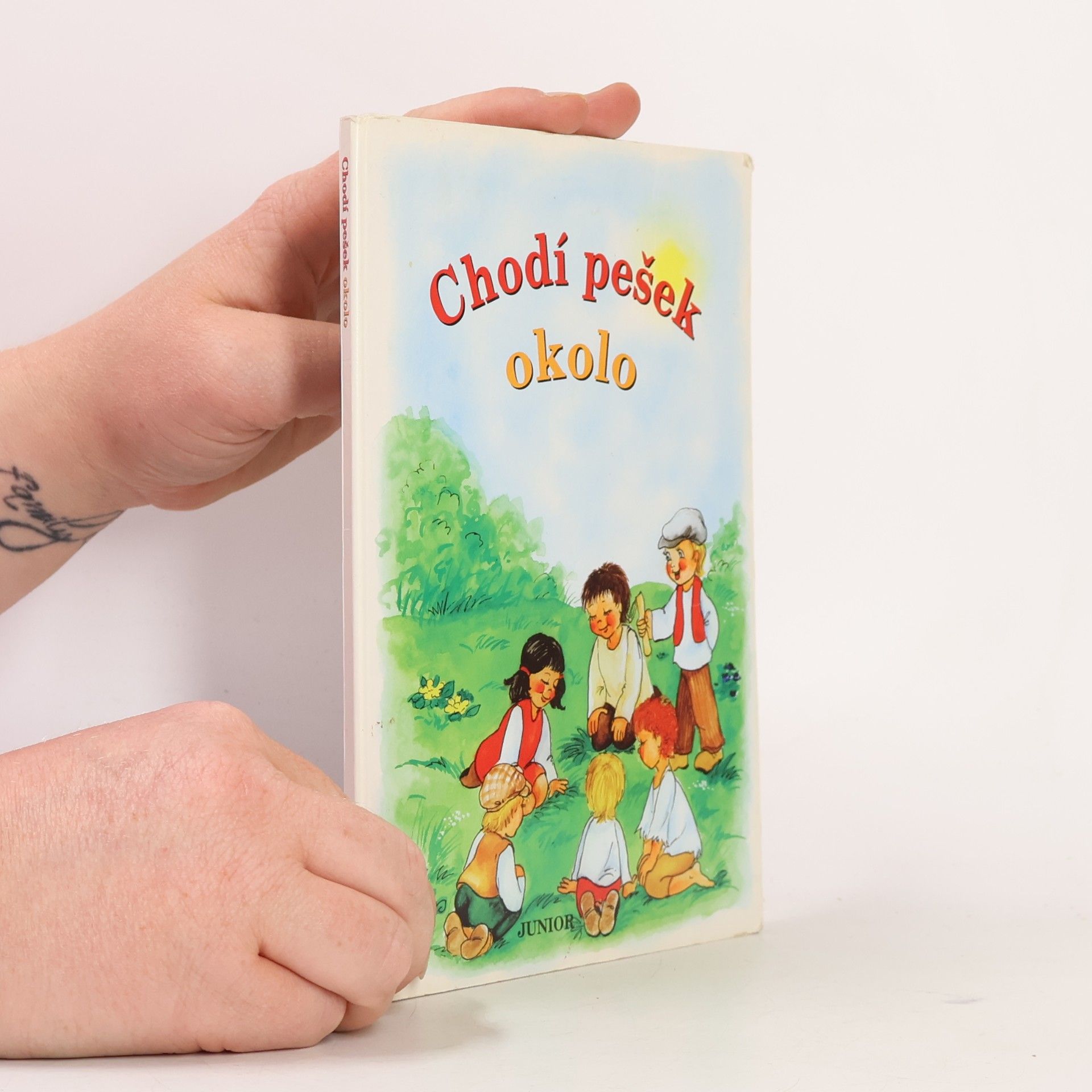 Chodí pešek okolo (leporelo)