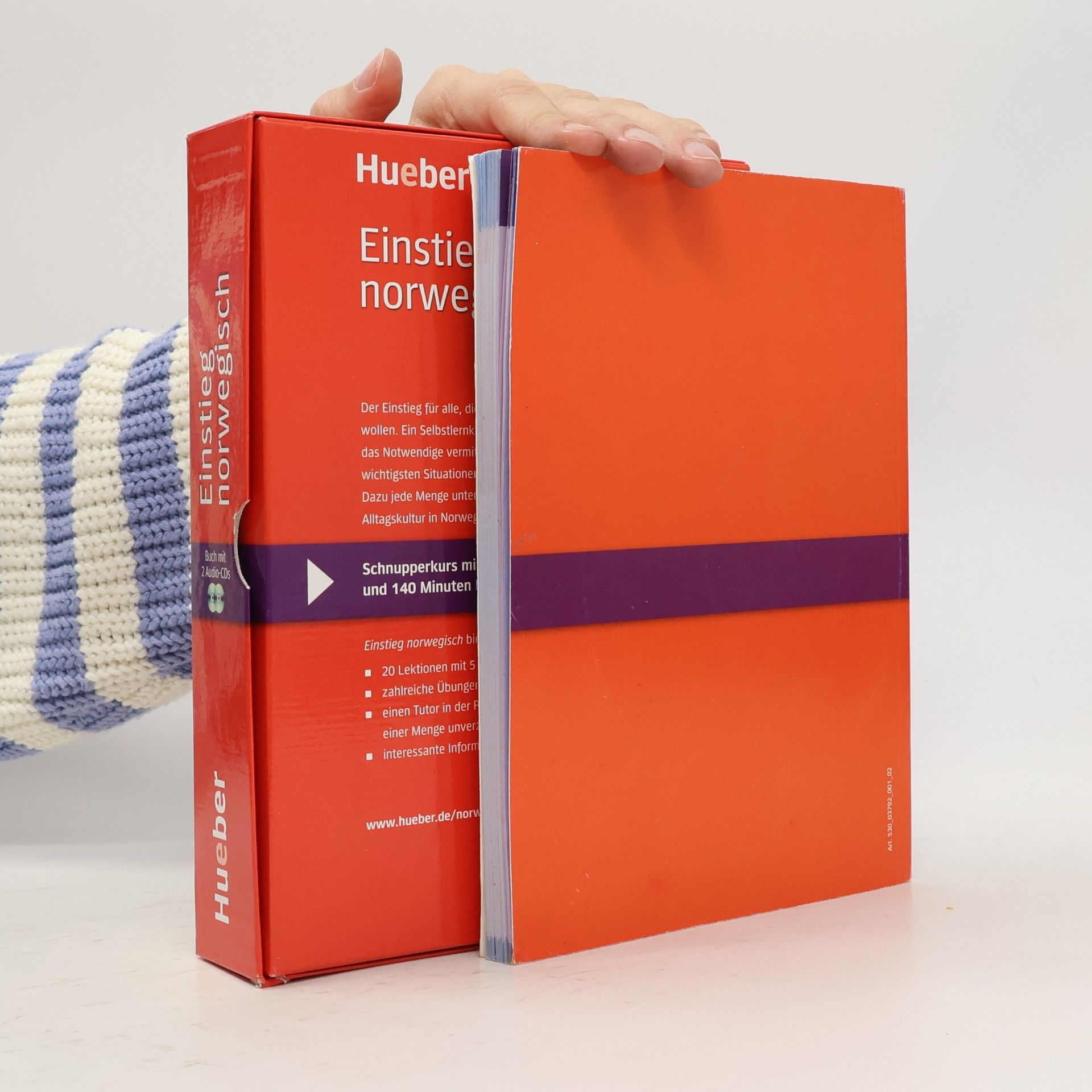Kolektiv autorů Einstieg Norwegisch