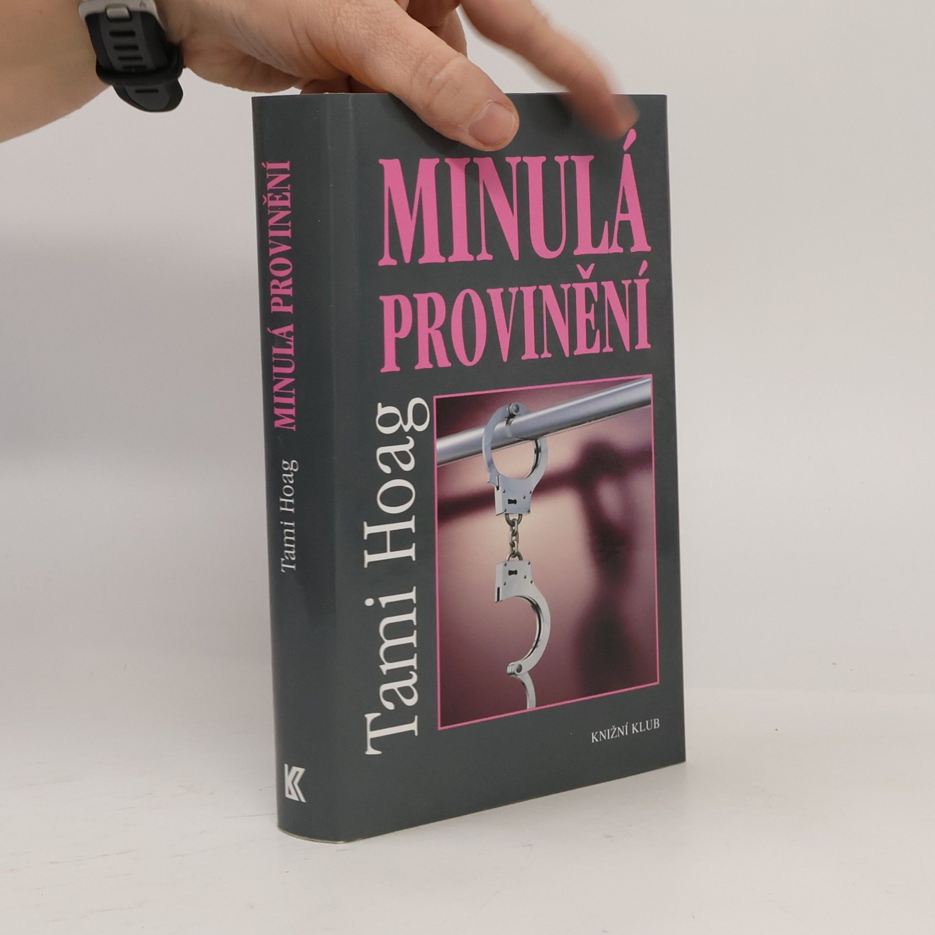 Tami Hoag Minulá provinění