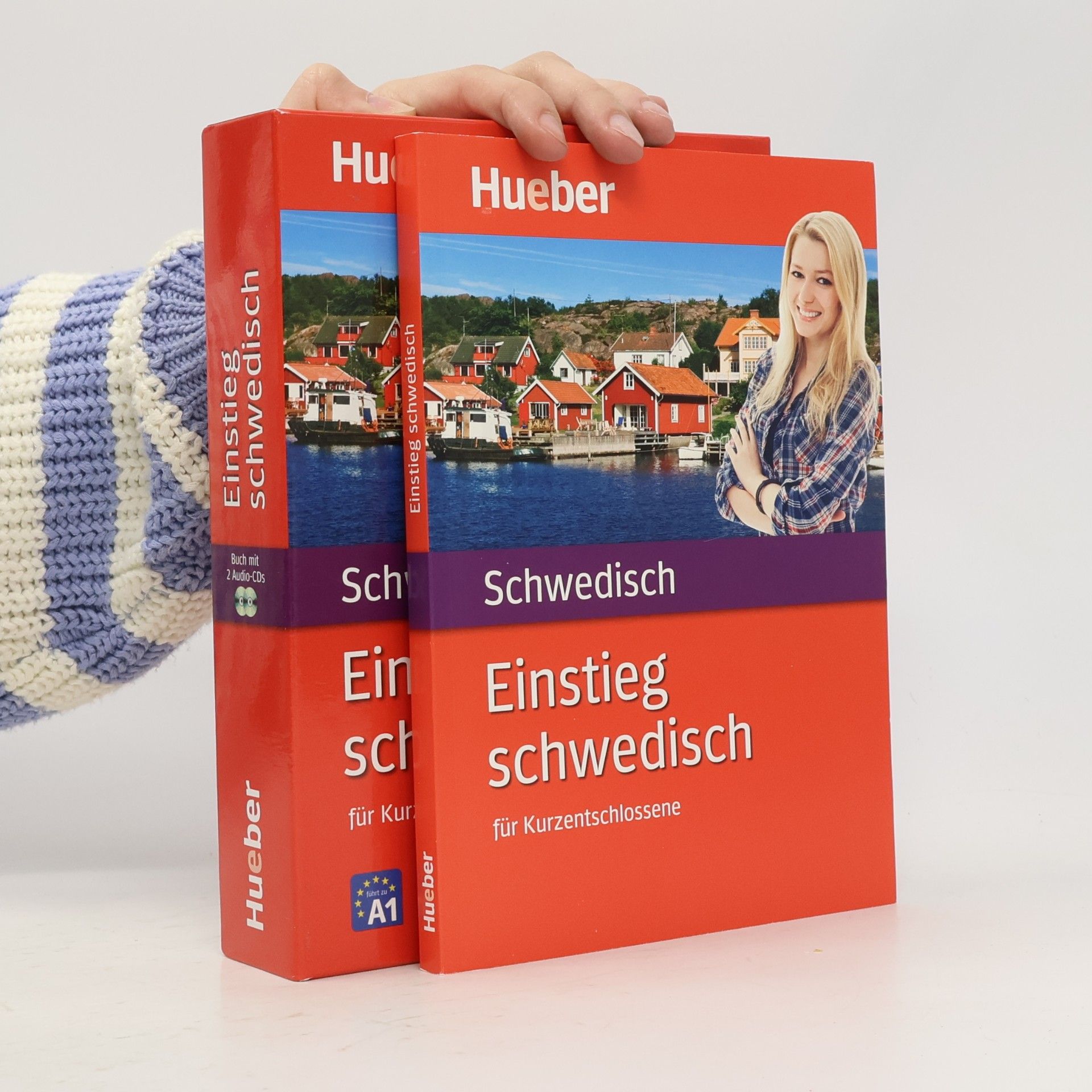 Kolektiv autorů Einstieg Schwedisch für Kurzentschlossene