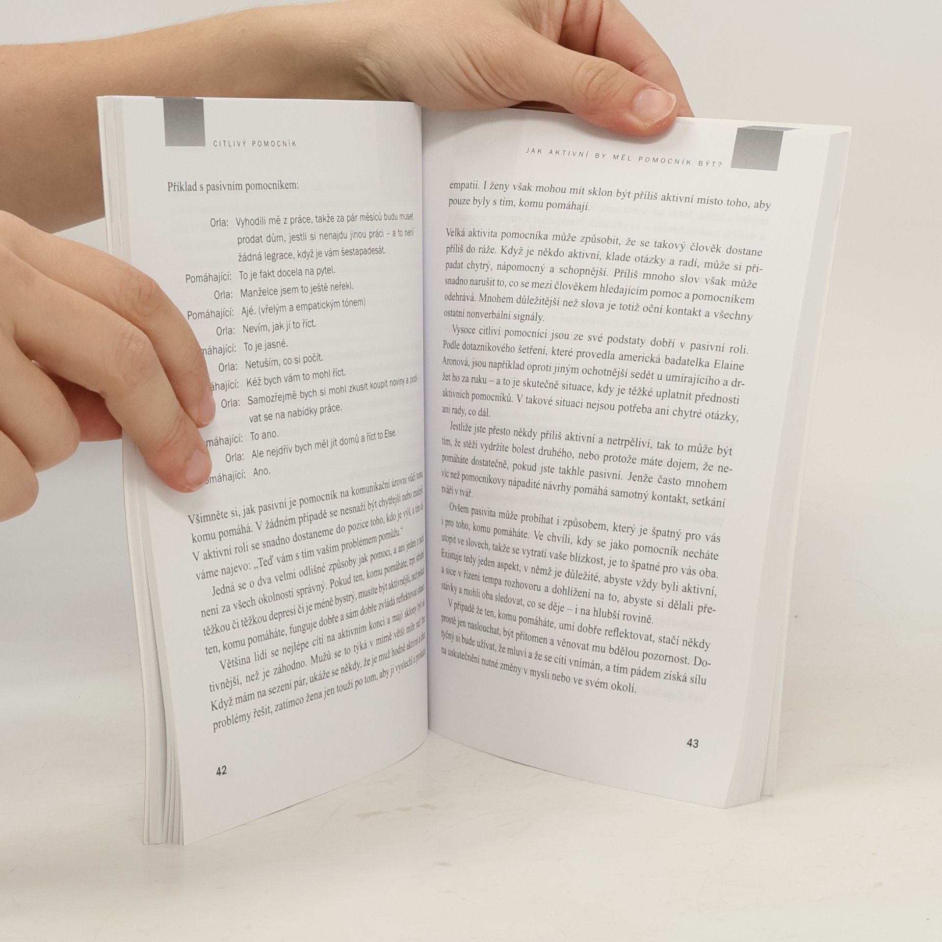 Ilse Sand Citlivý pomocník : vysoká citlivost v pomáhajících profesích